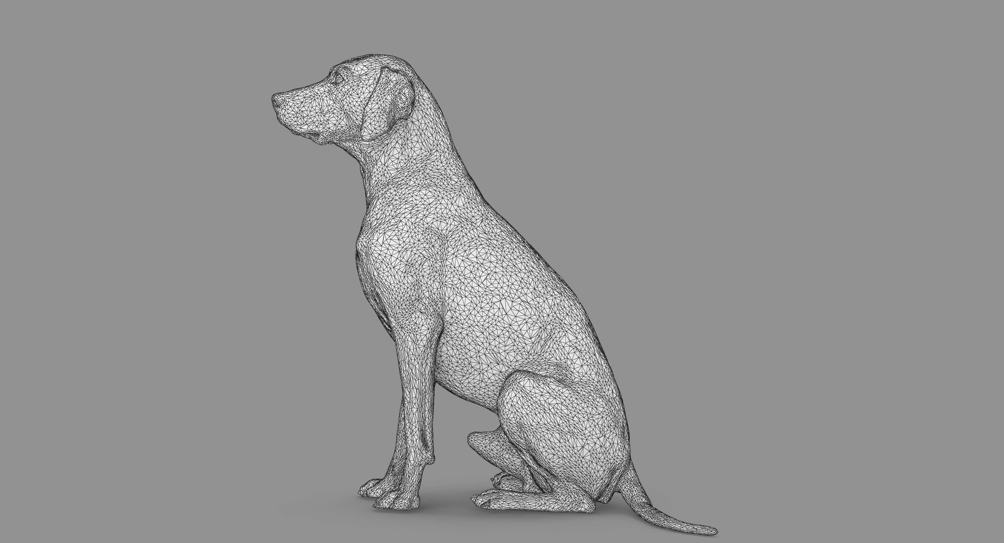 Dalmatian Dog Sitting Low-poly 3D model_86