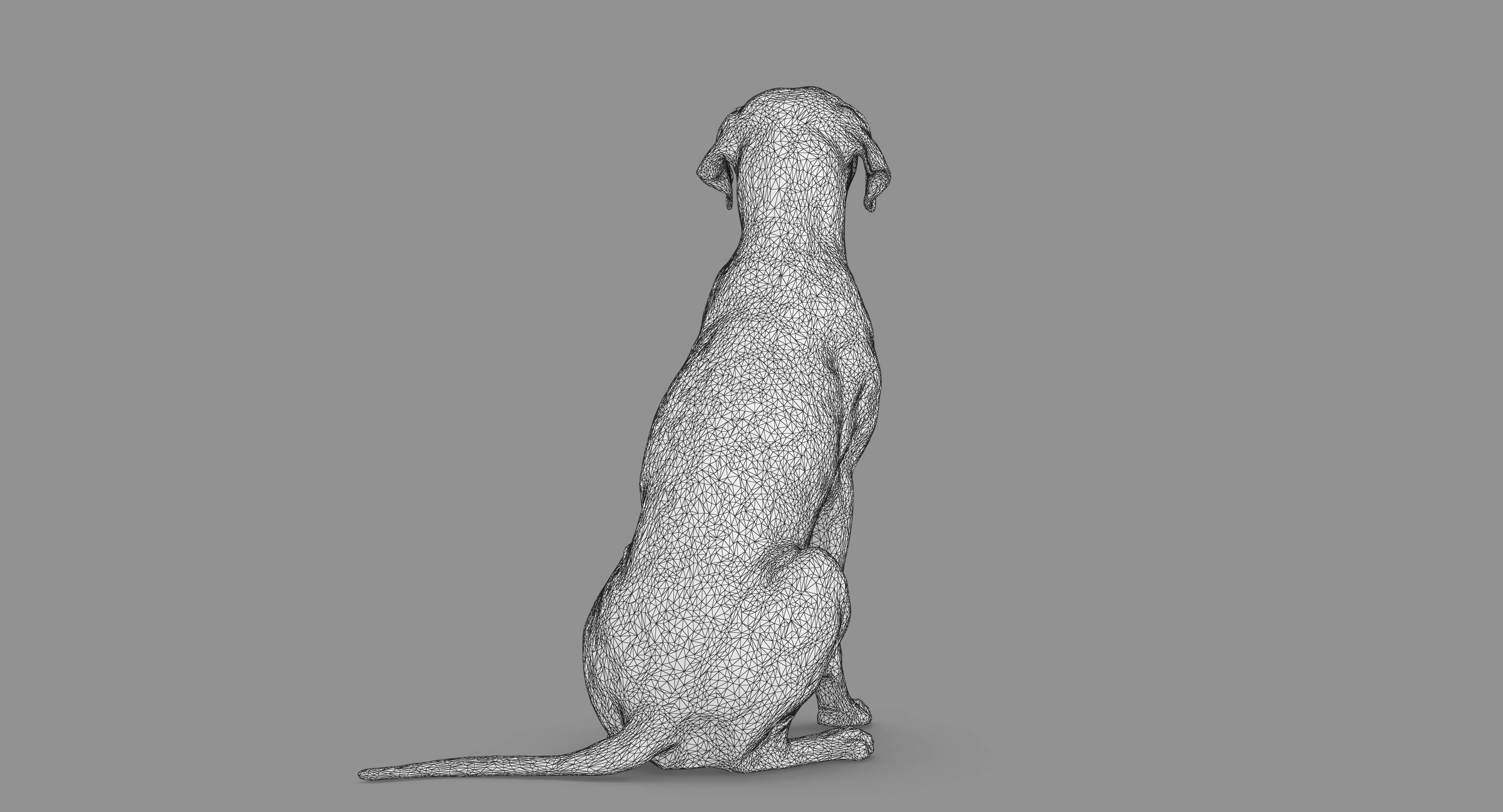 Dalmatian Dog Sitting Low-poly 3D model_72