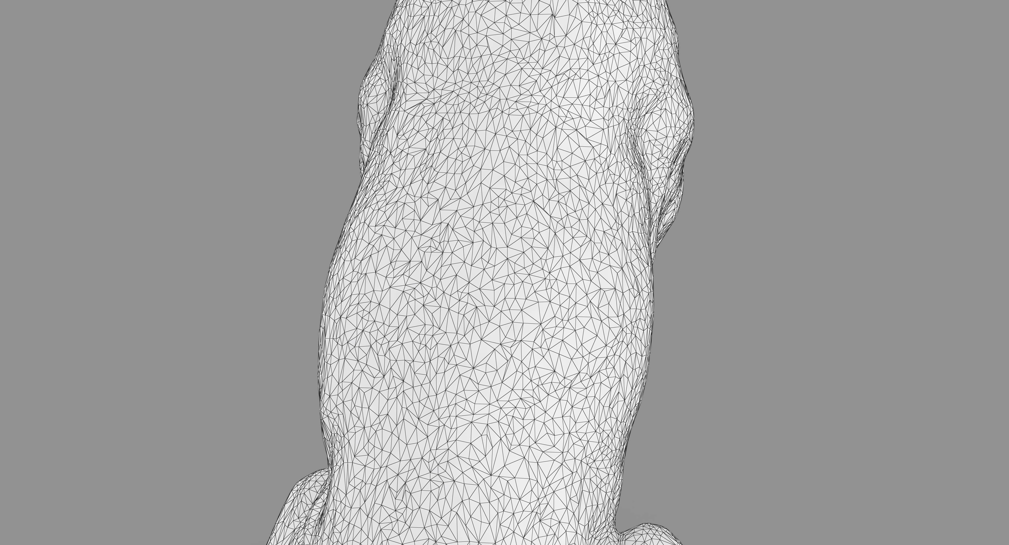 Dalmatian Dog Sitting Low-poly 3D model_32