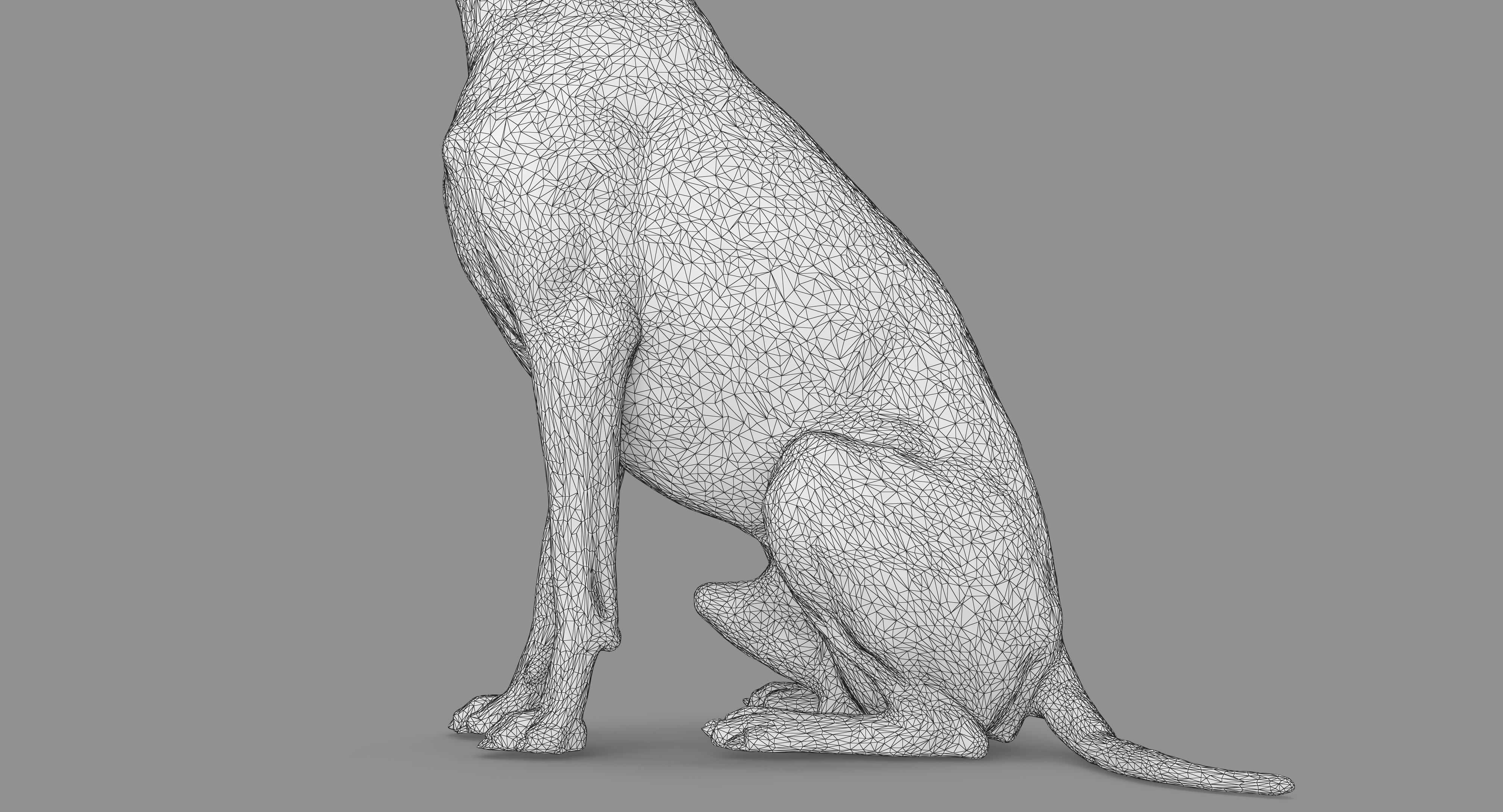 Dalmatian Dog Sitting Low-poly 3D model_42