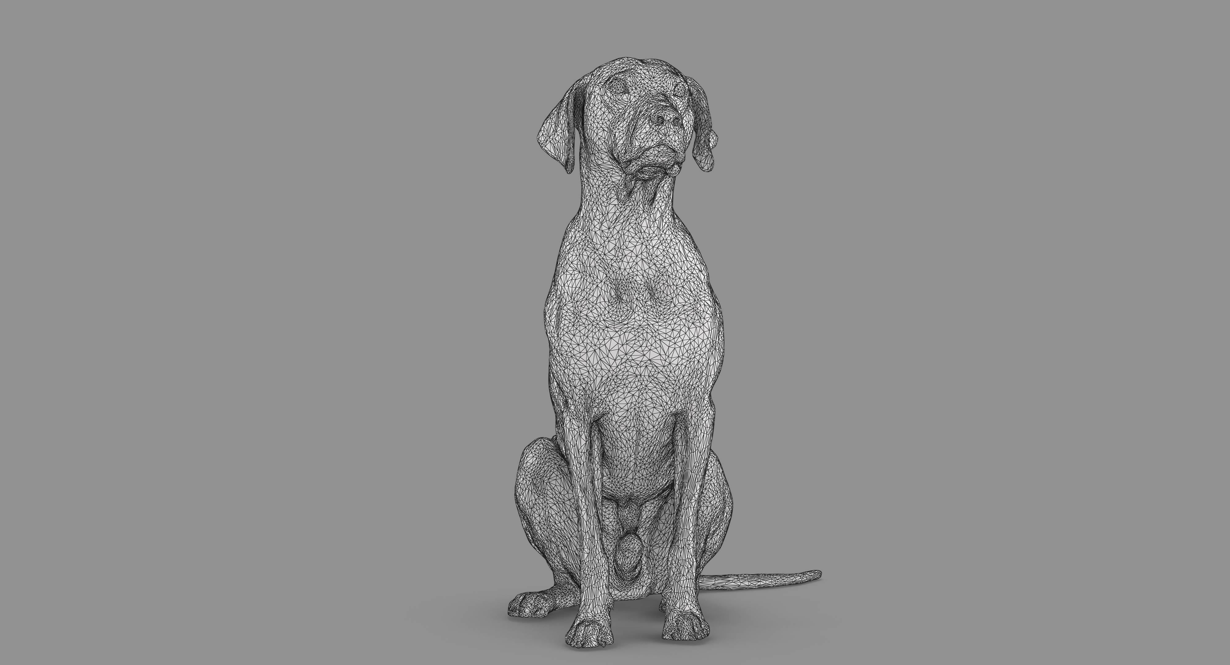 Dalmatian Dog Sitting Low-poly 3D model_52