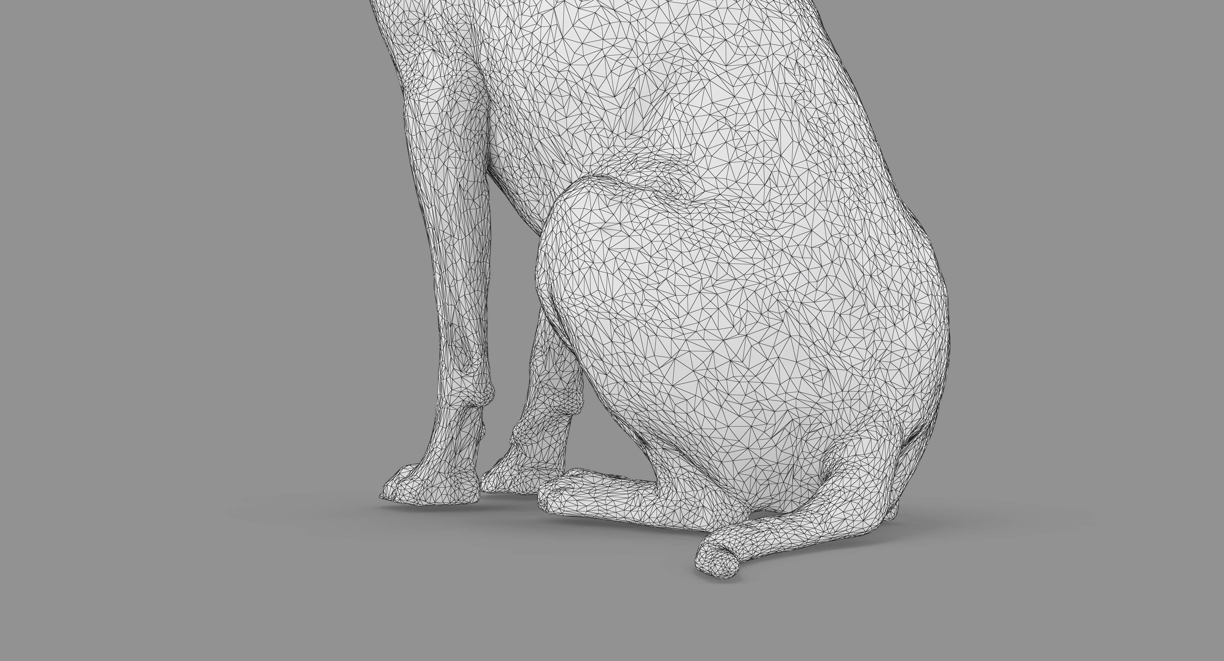 Dalmatian Dog Sitting Low-poly 3D model_38