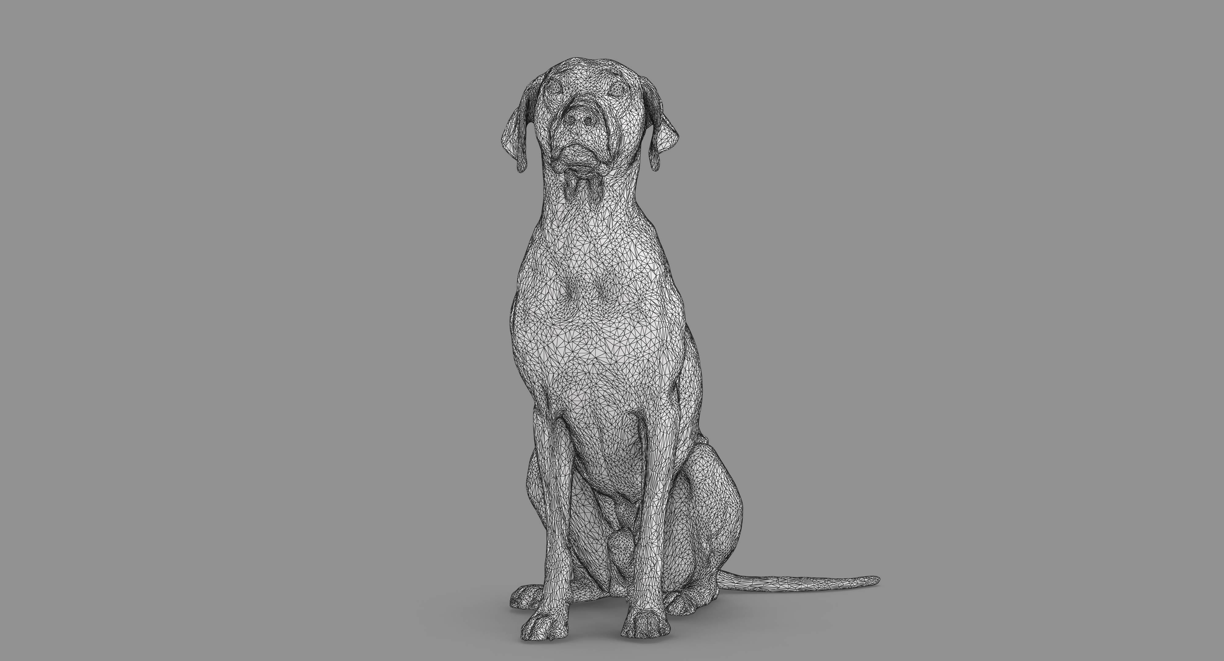 Dalmatian Dog Sitting Low-poly 3D model_50
