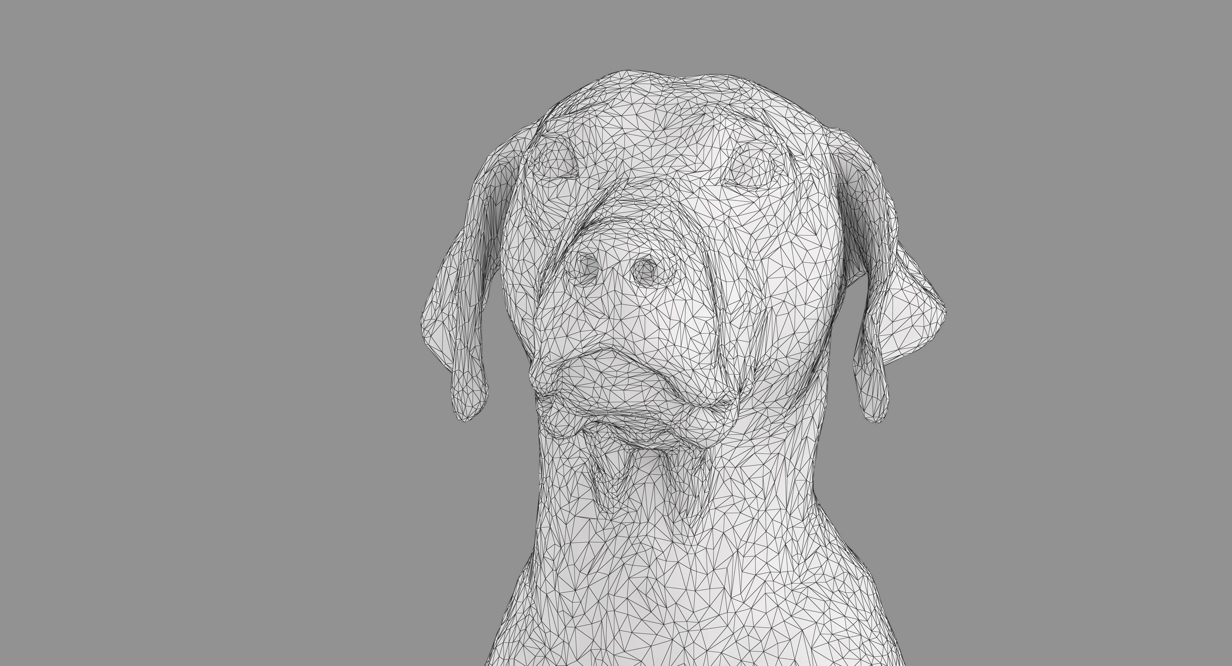 Dalmatian Dog Sitting Low-poly 3D model_14
