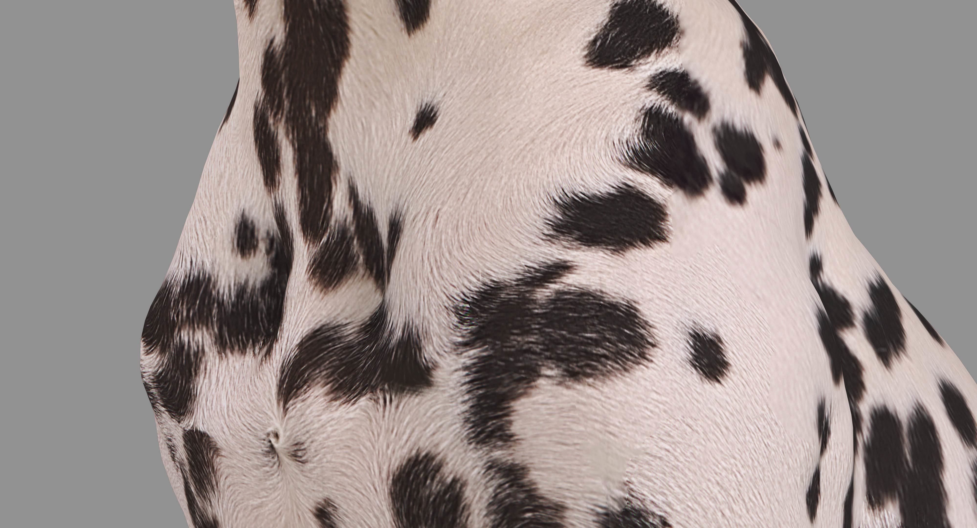 Dalmatian Dog Sitting Low-poly 3D model_9