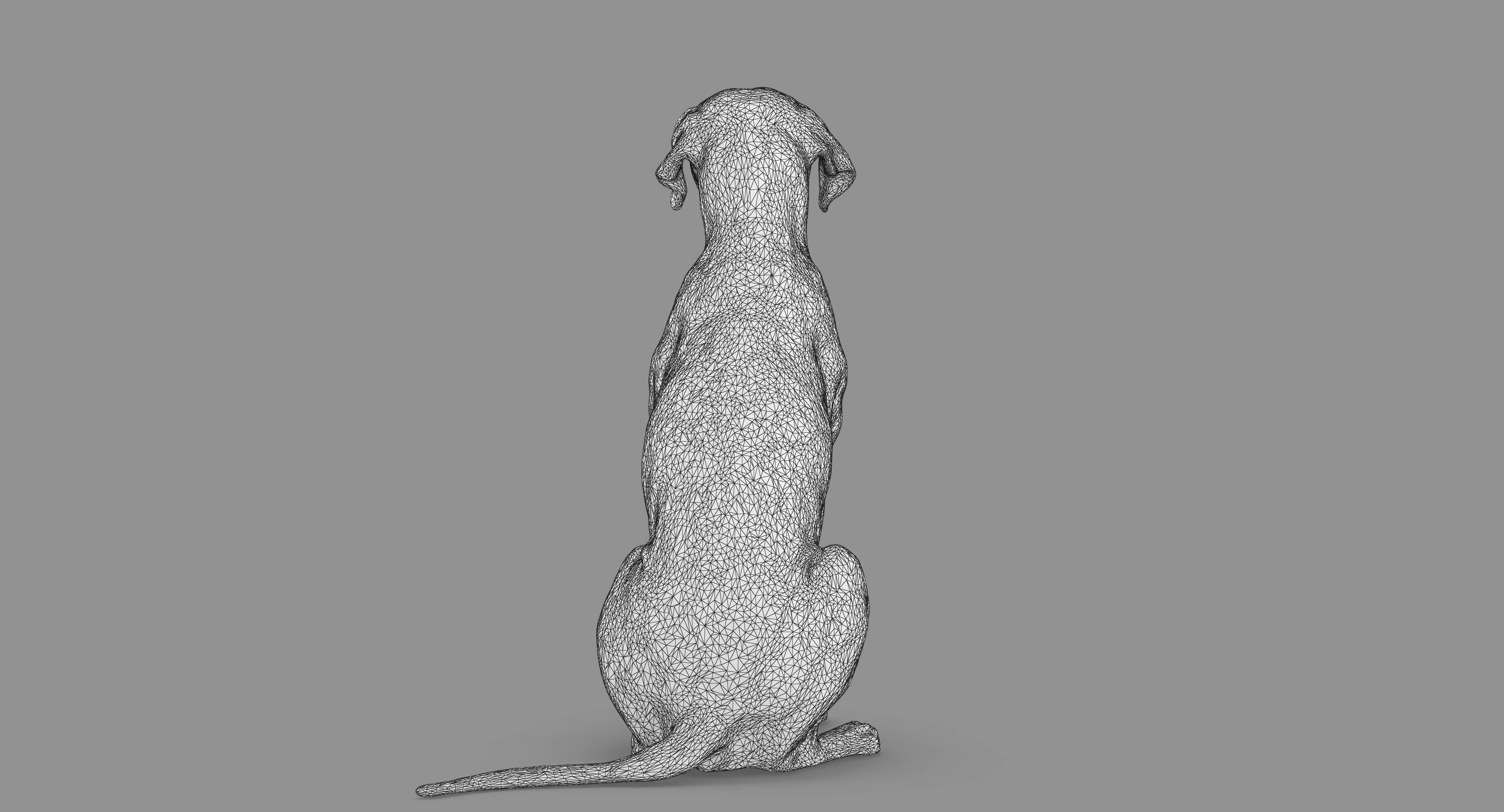 Dalmatian Dog Sitting Low-poly 3D model_74