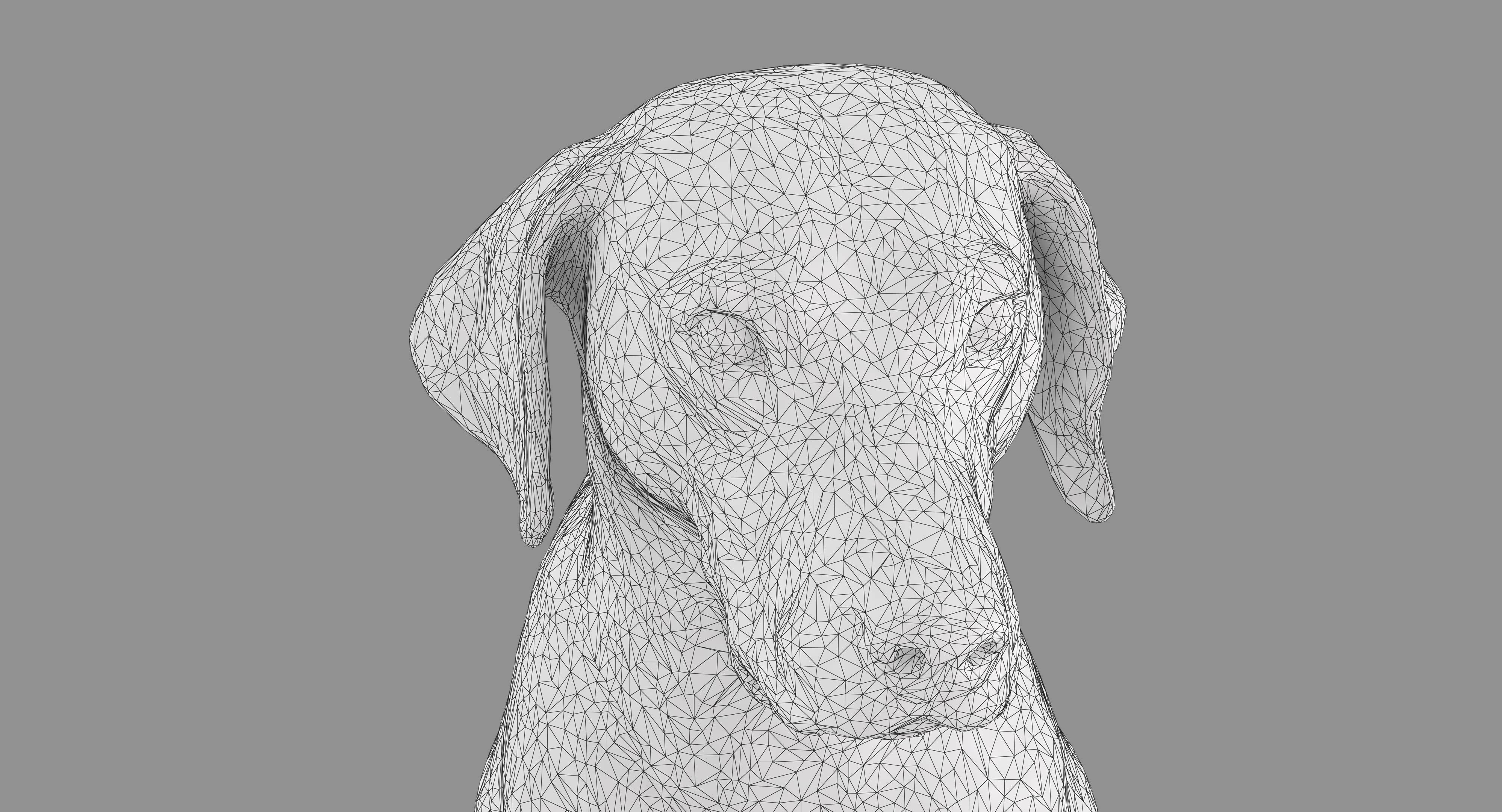 Dalmatian Dog Sitting Low-poly 3D model_20