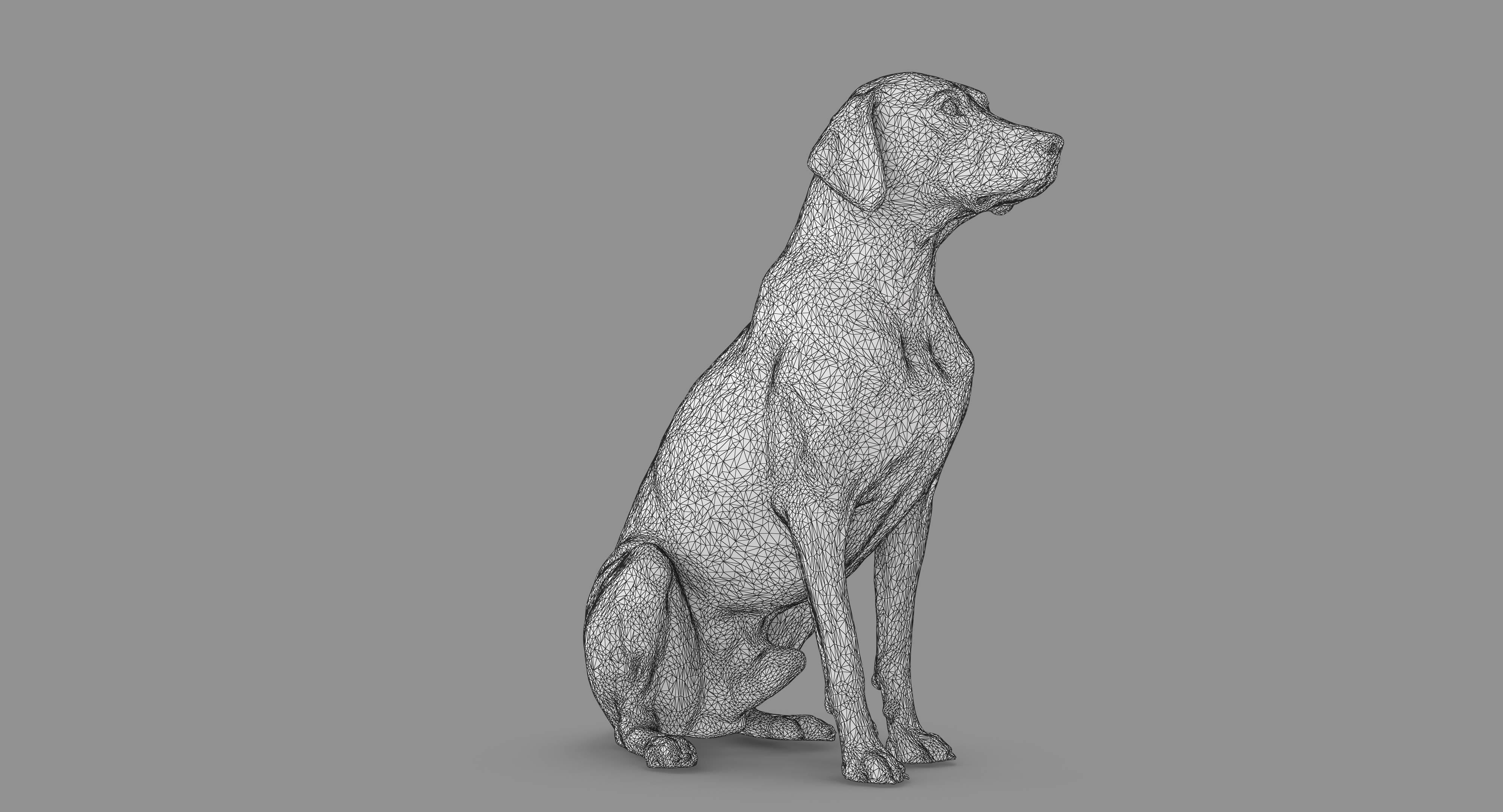 Dalmatian Dog Sitting Low-poly 3D model_58