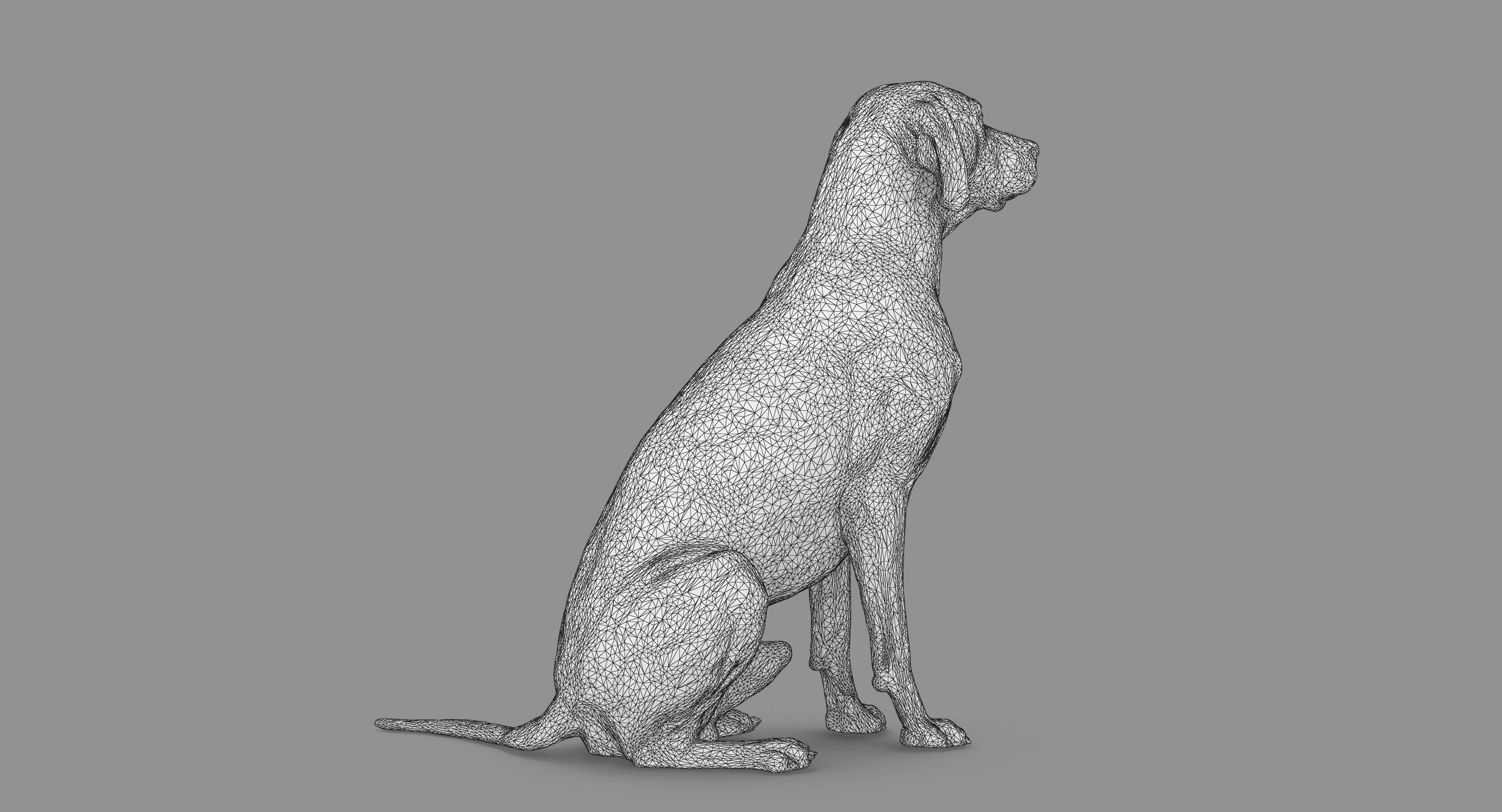 Dalmatian Dog Sitting Low-poly 3D model_66