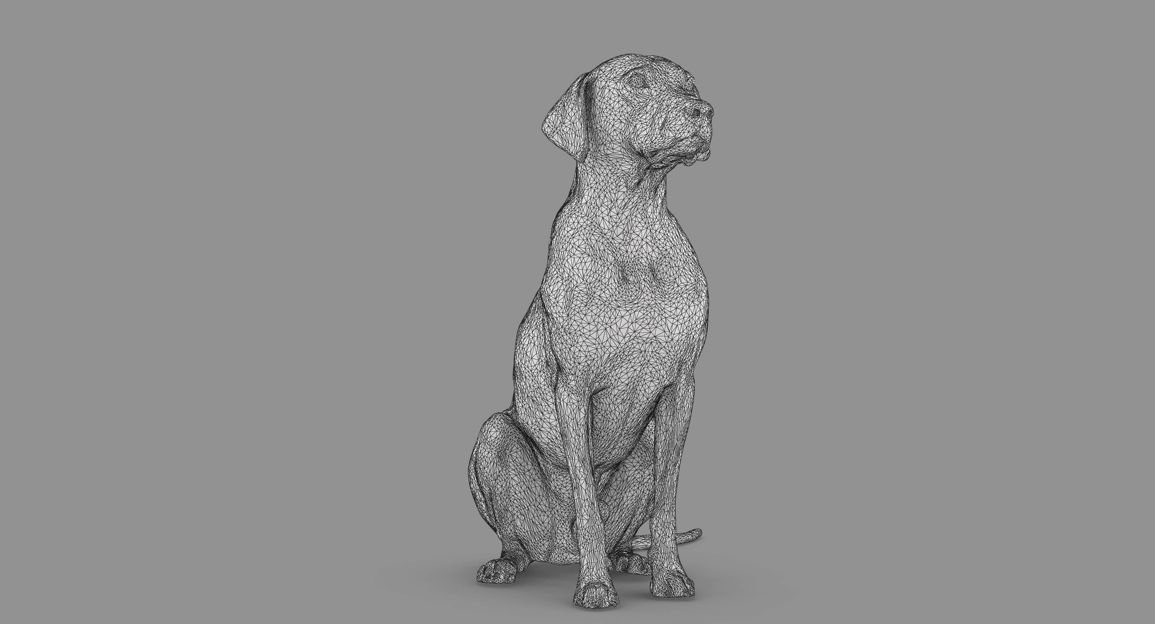 Dalmatian Dog Sitting Low-poly 3D model_54
