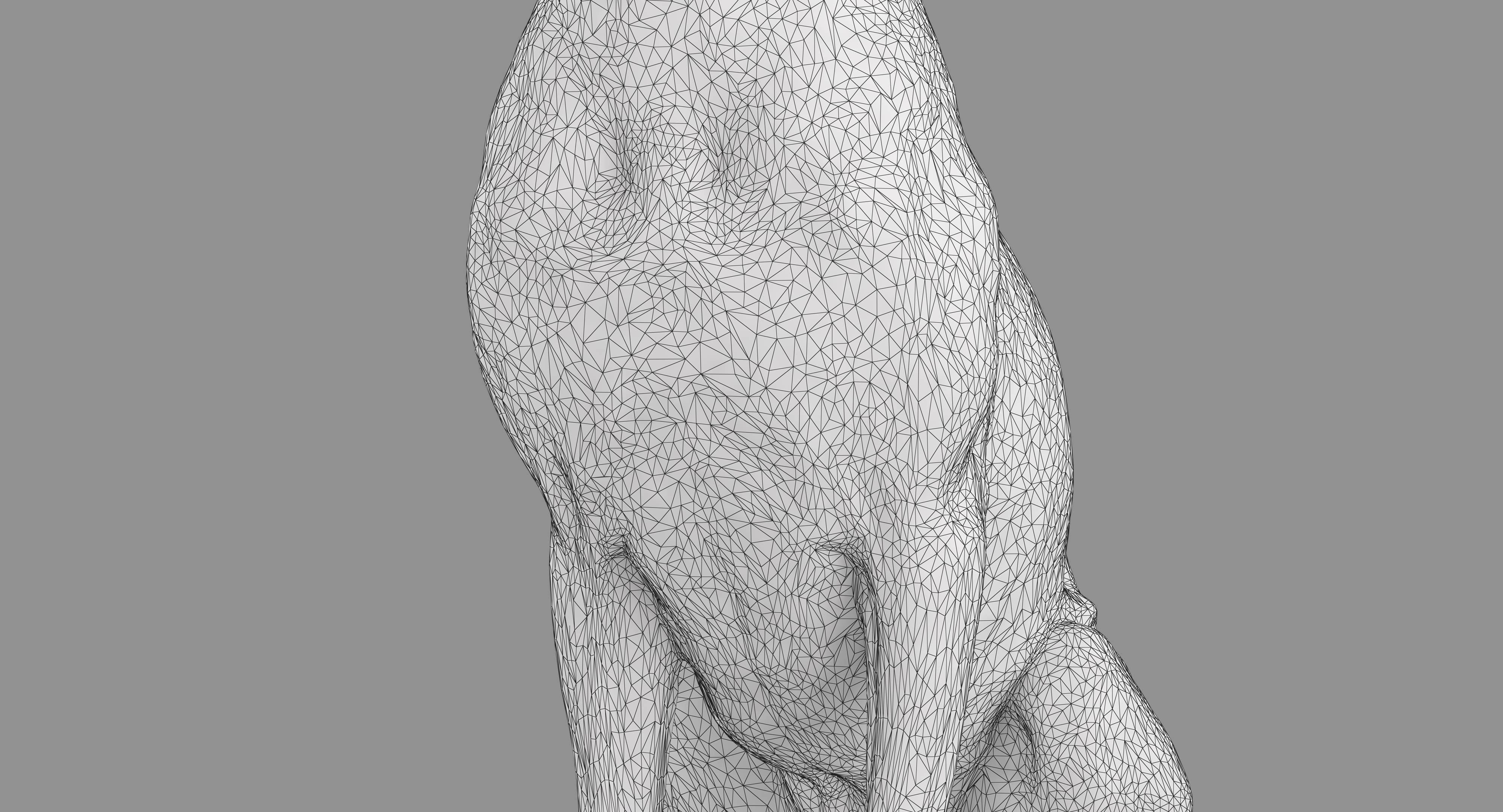Dalmatian Dog Sitting Low-poly 3D model_16