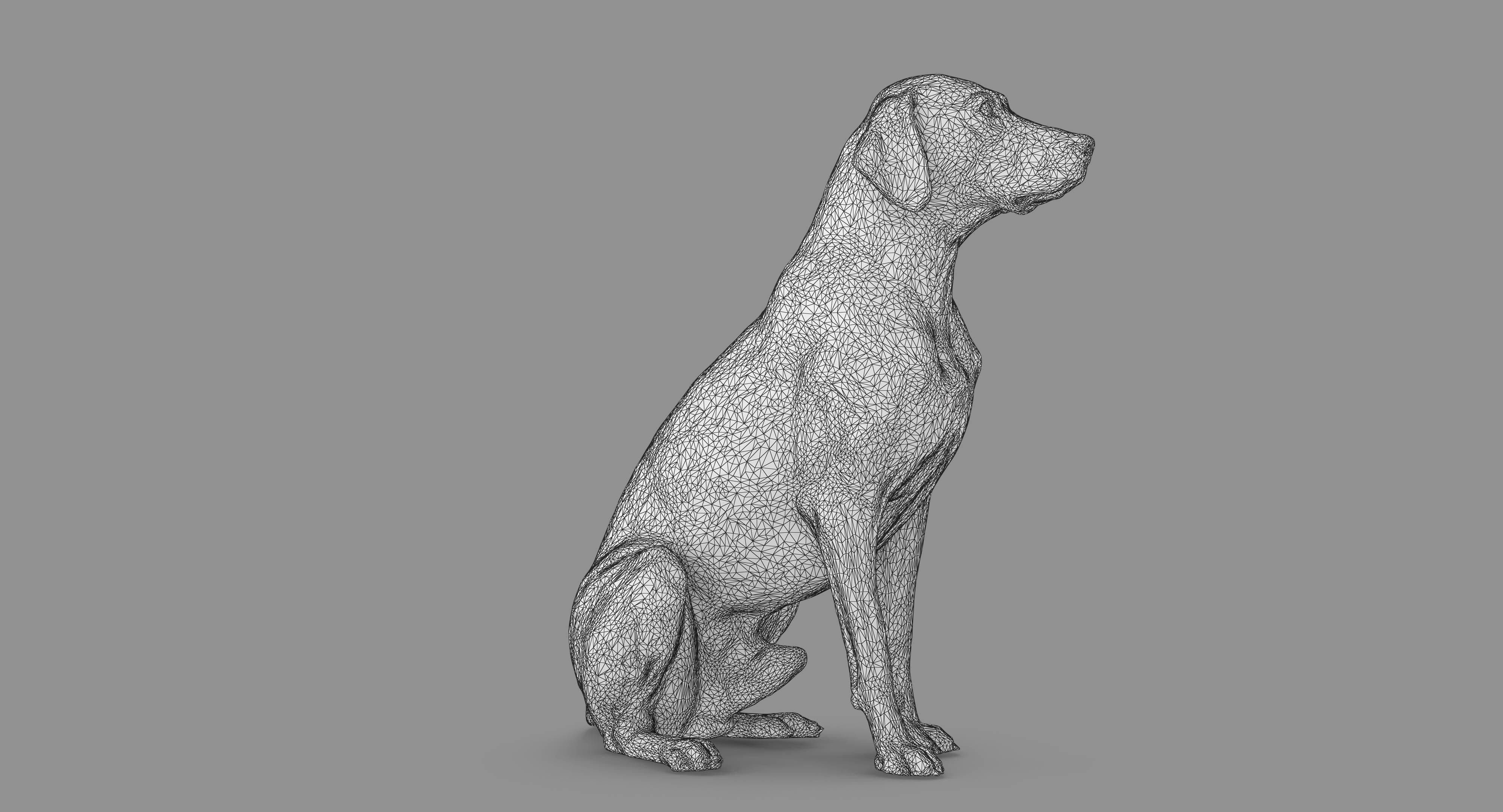 Dalmatian Dog Sitting Low-poly 3D model_60
