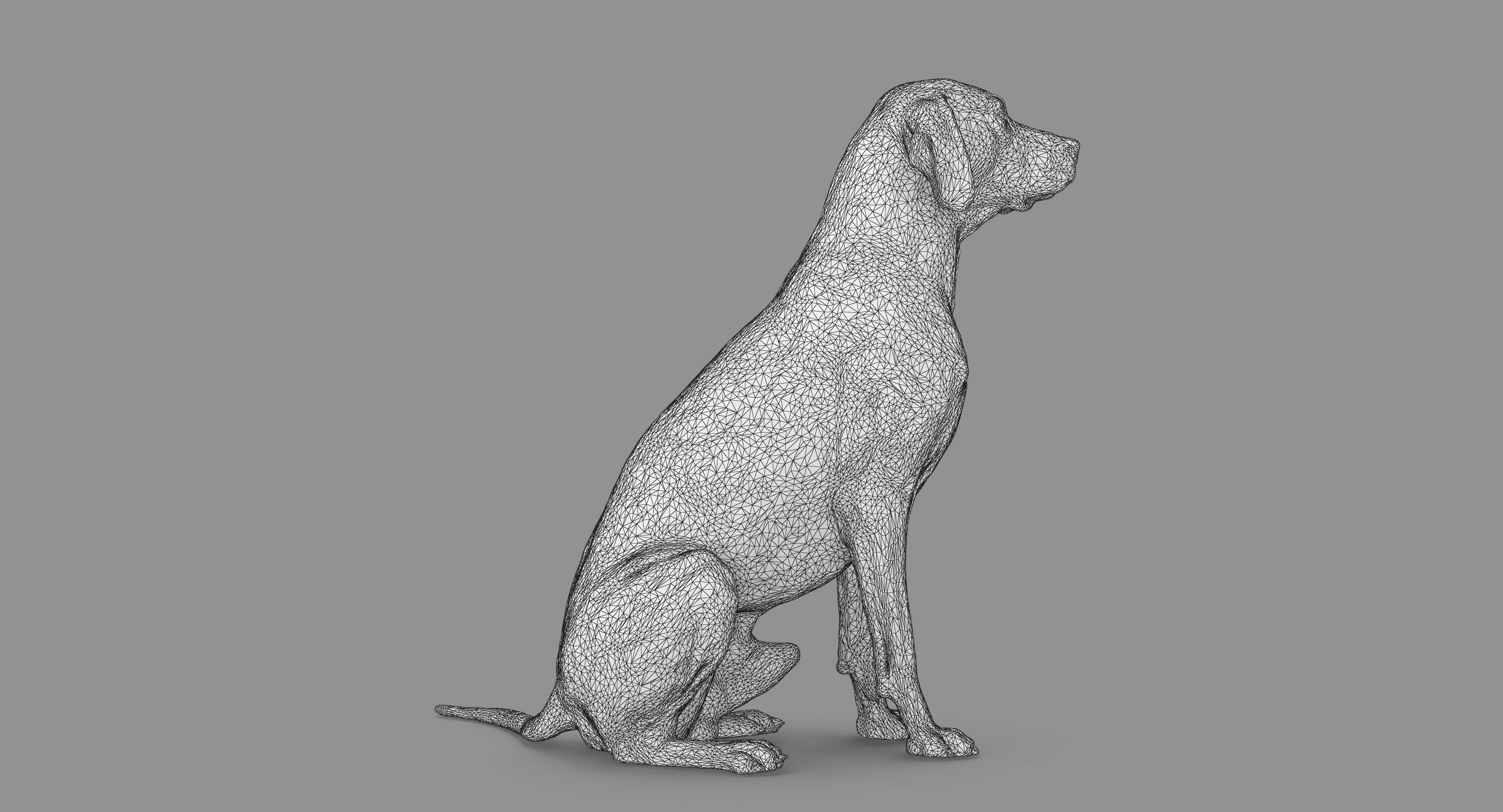 Dalmatian Dog Sitting Low-poly 3D model_64