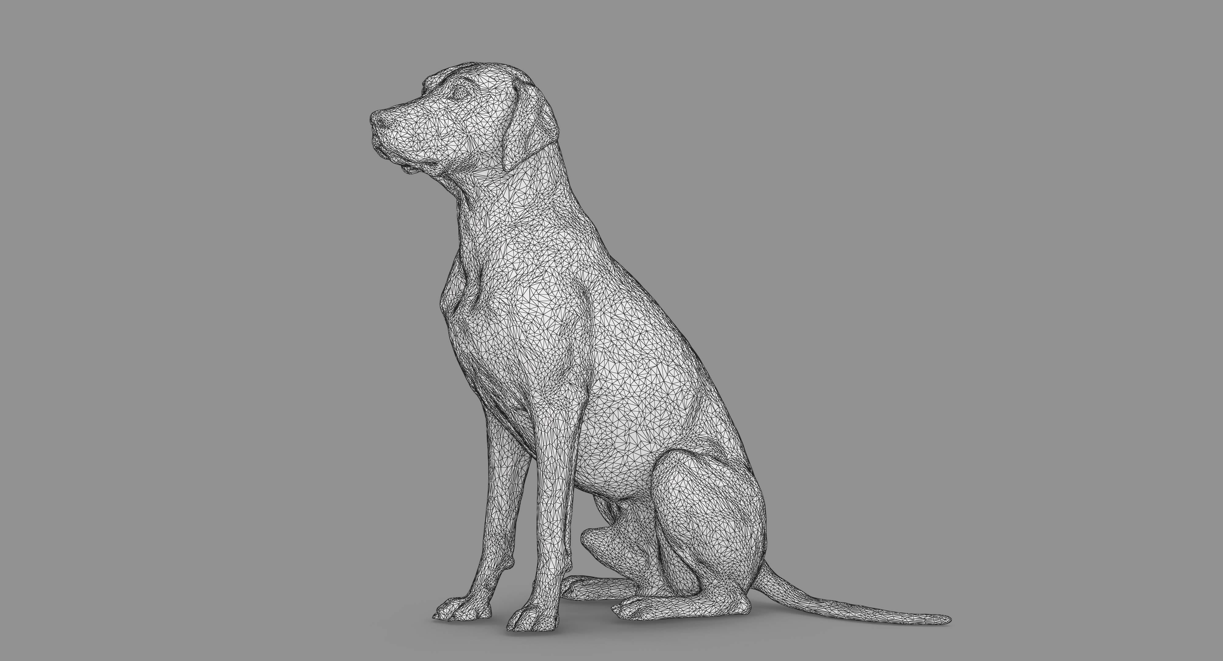 Dalmatian Dog Sitting Low-poly 3D model_90