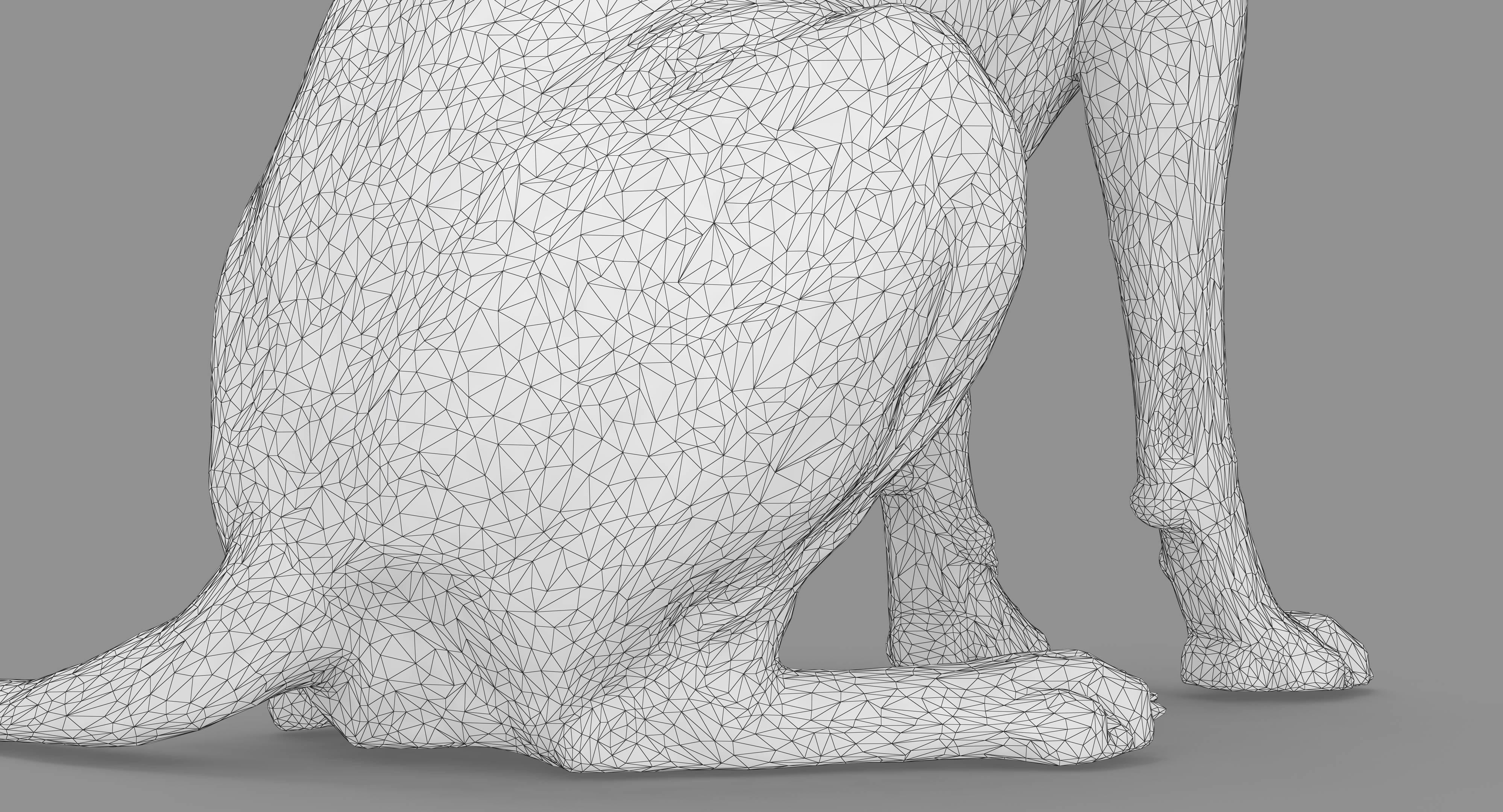 Dalmatian Dog Sitting Low-poly 3D model_34