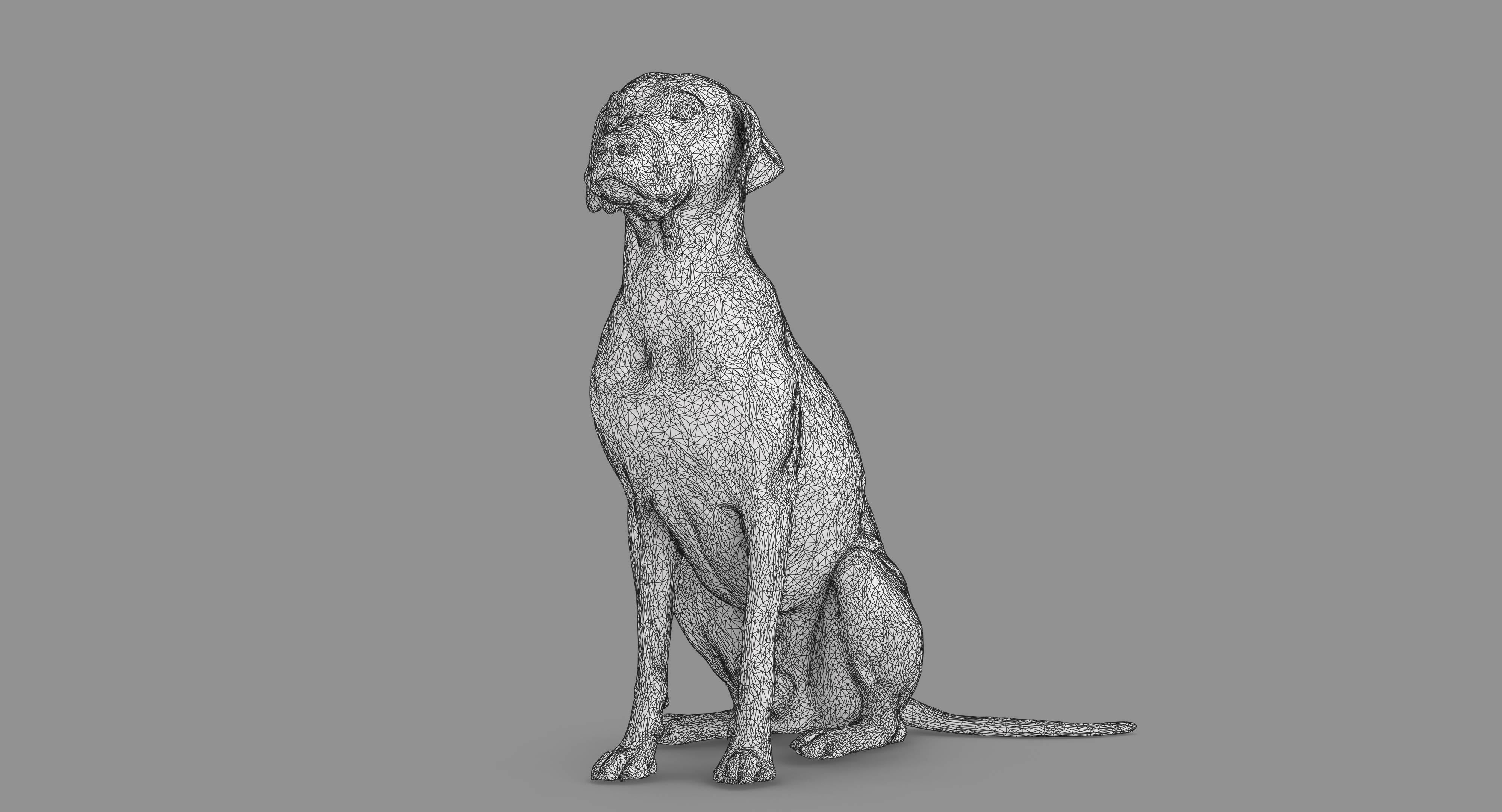 Dalmatian Dog Sitting Low-poly 3D model_48