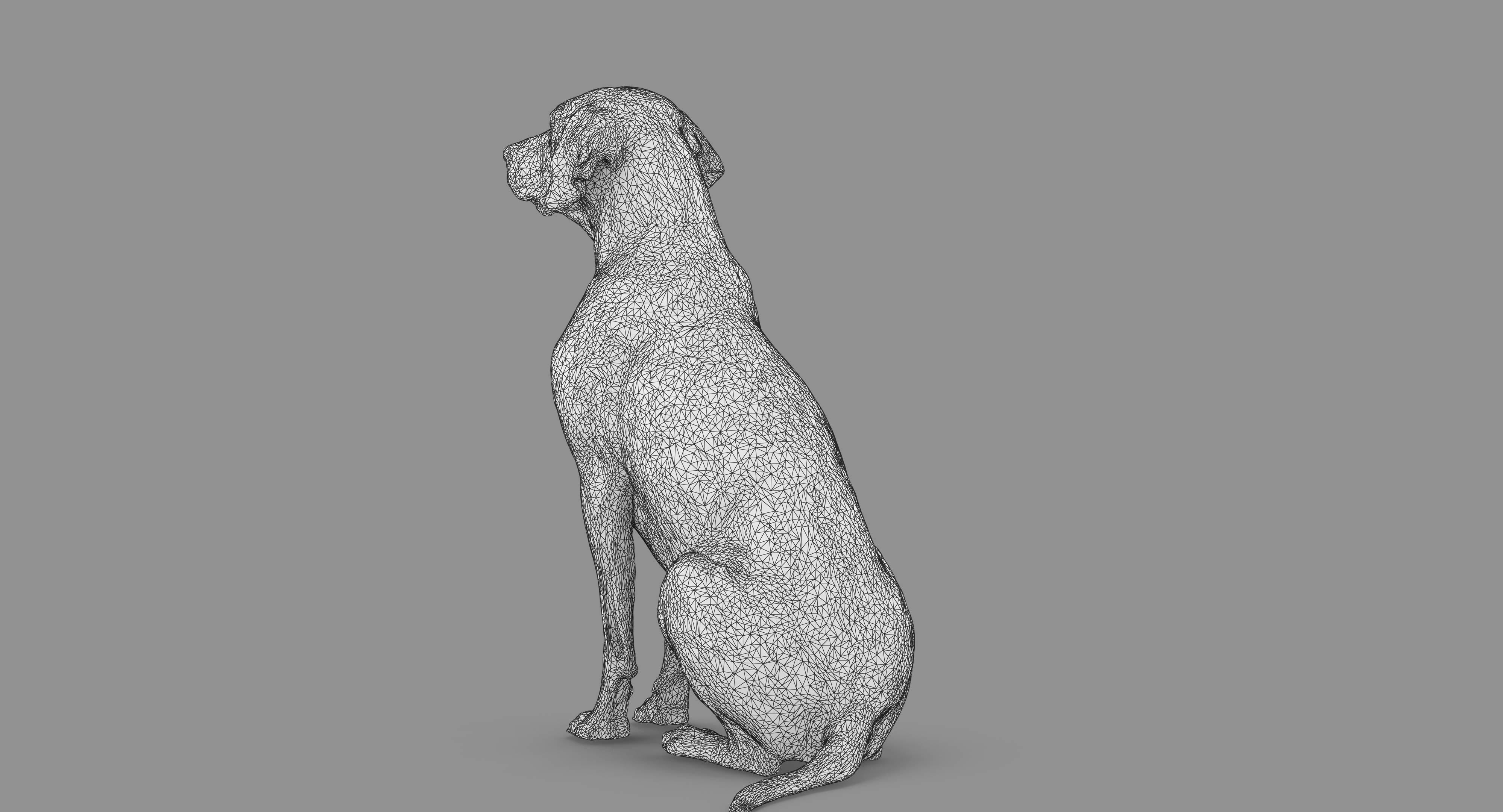 Dalmatian Dog Sitting Low-poly 3D model_80