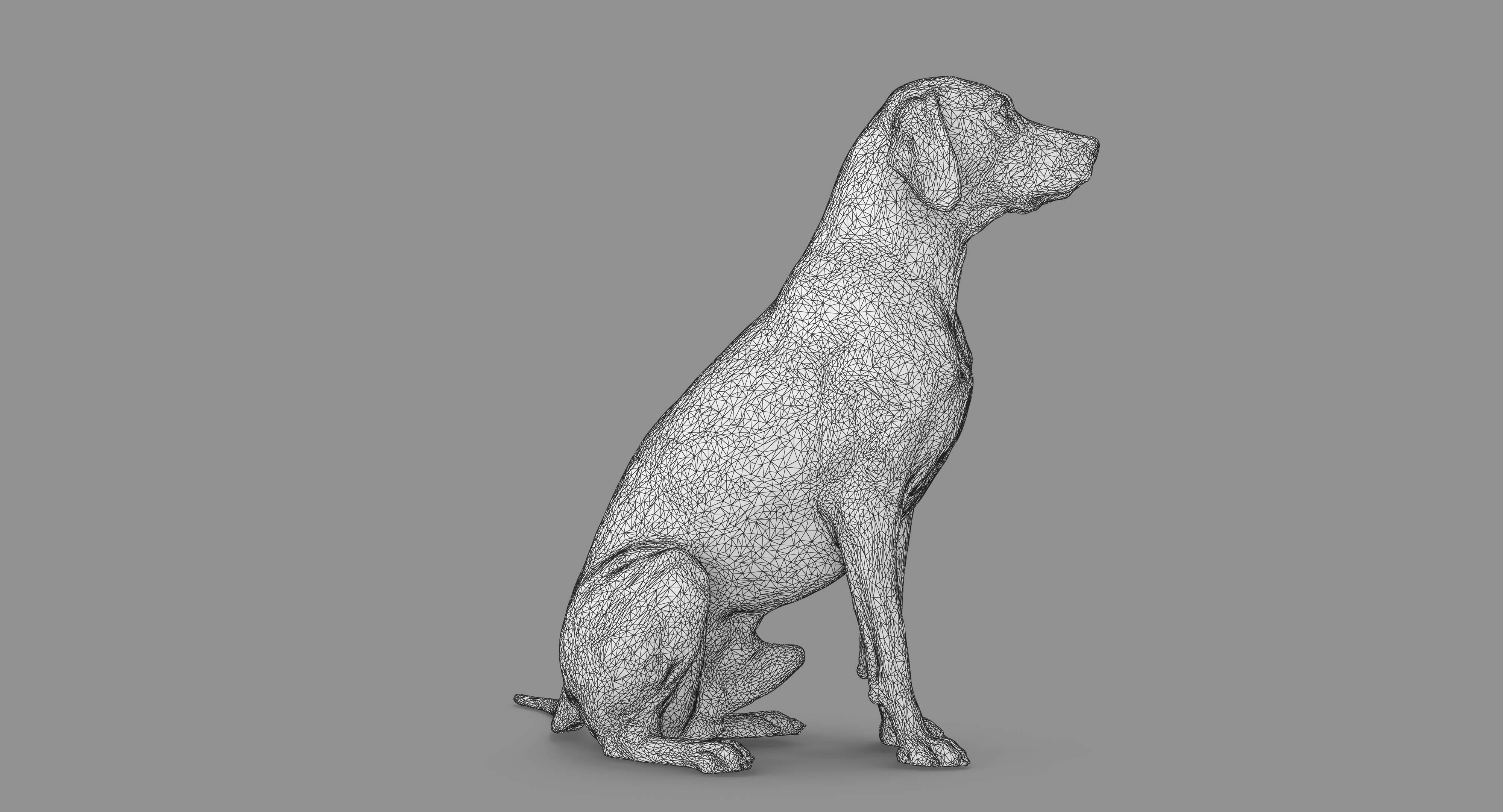Dalmatian Dog Sitting Low-poly 3D model_62