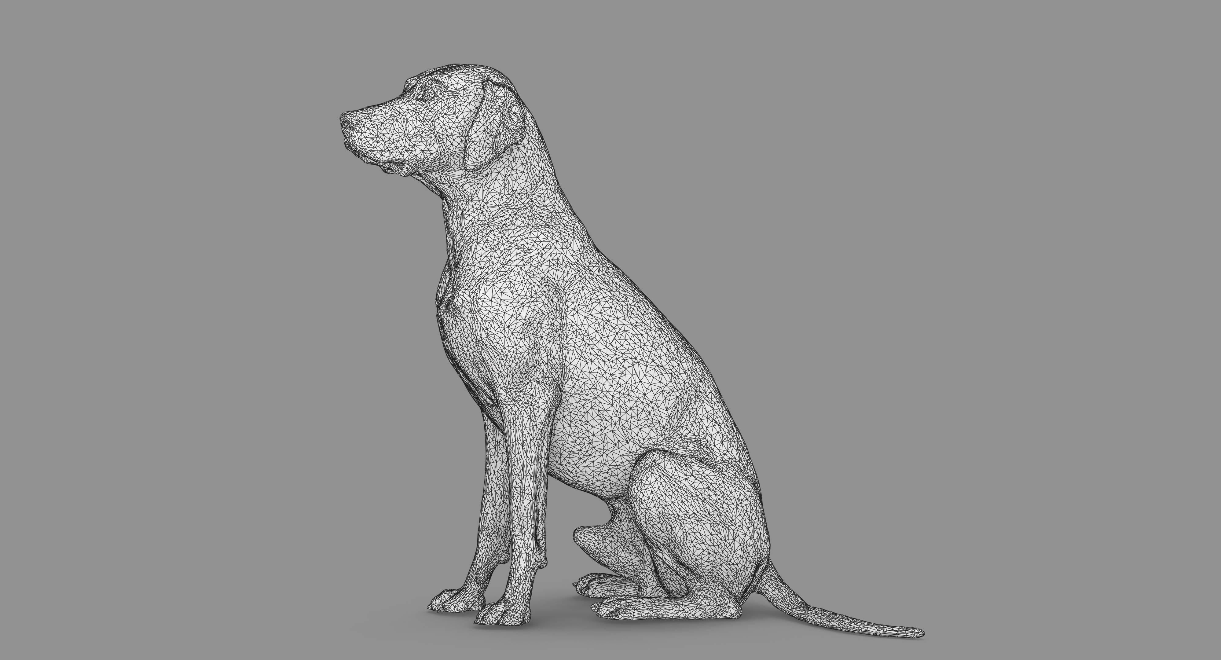 Dalmatian Dog Sitting Low-poly 3D model_88