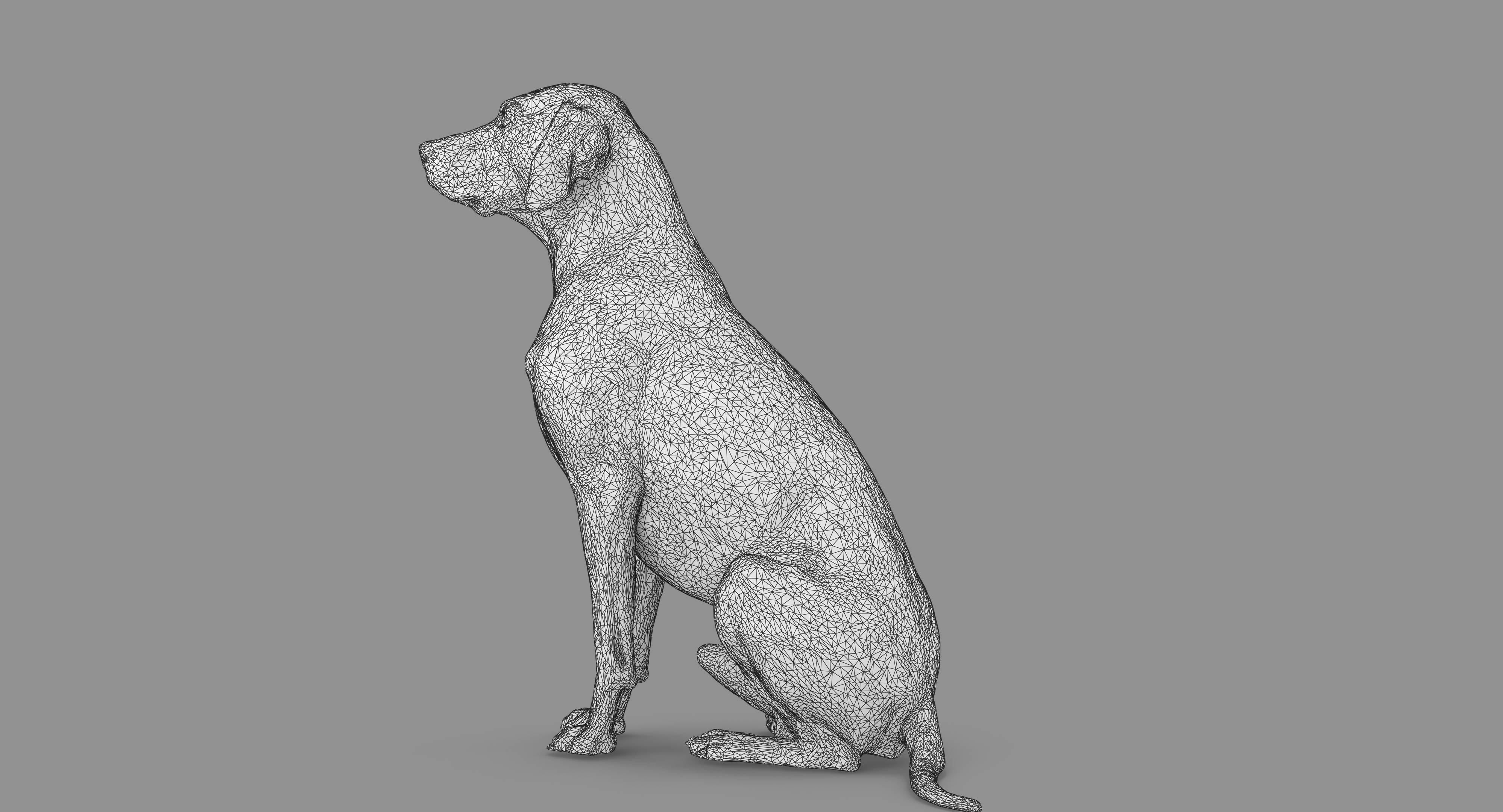 Dalmatian Dog Sitting Low-poly 3D model_84