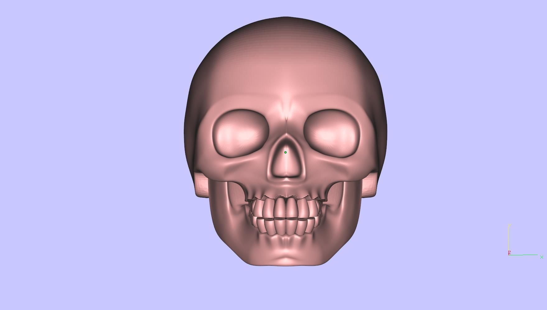 ring  scull 3D print model_11