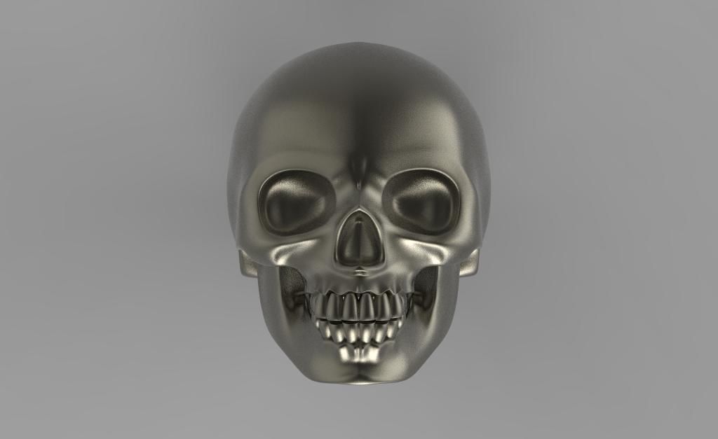 ring  scull 3D print model_9