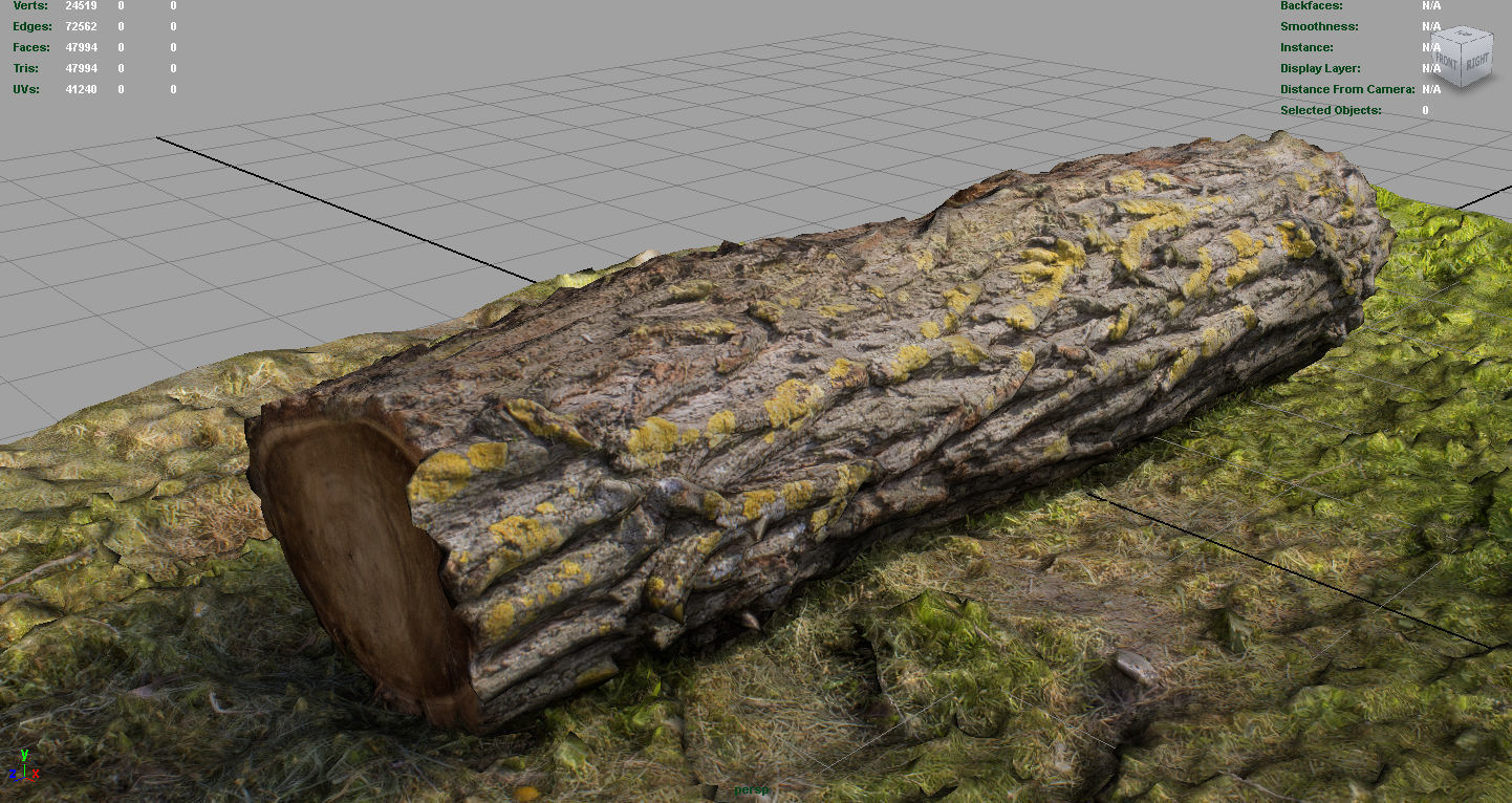 Dead trunk 6 Low-poly 3D model_2
