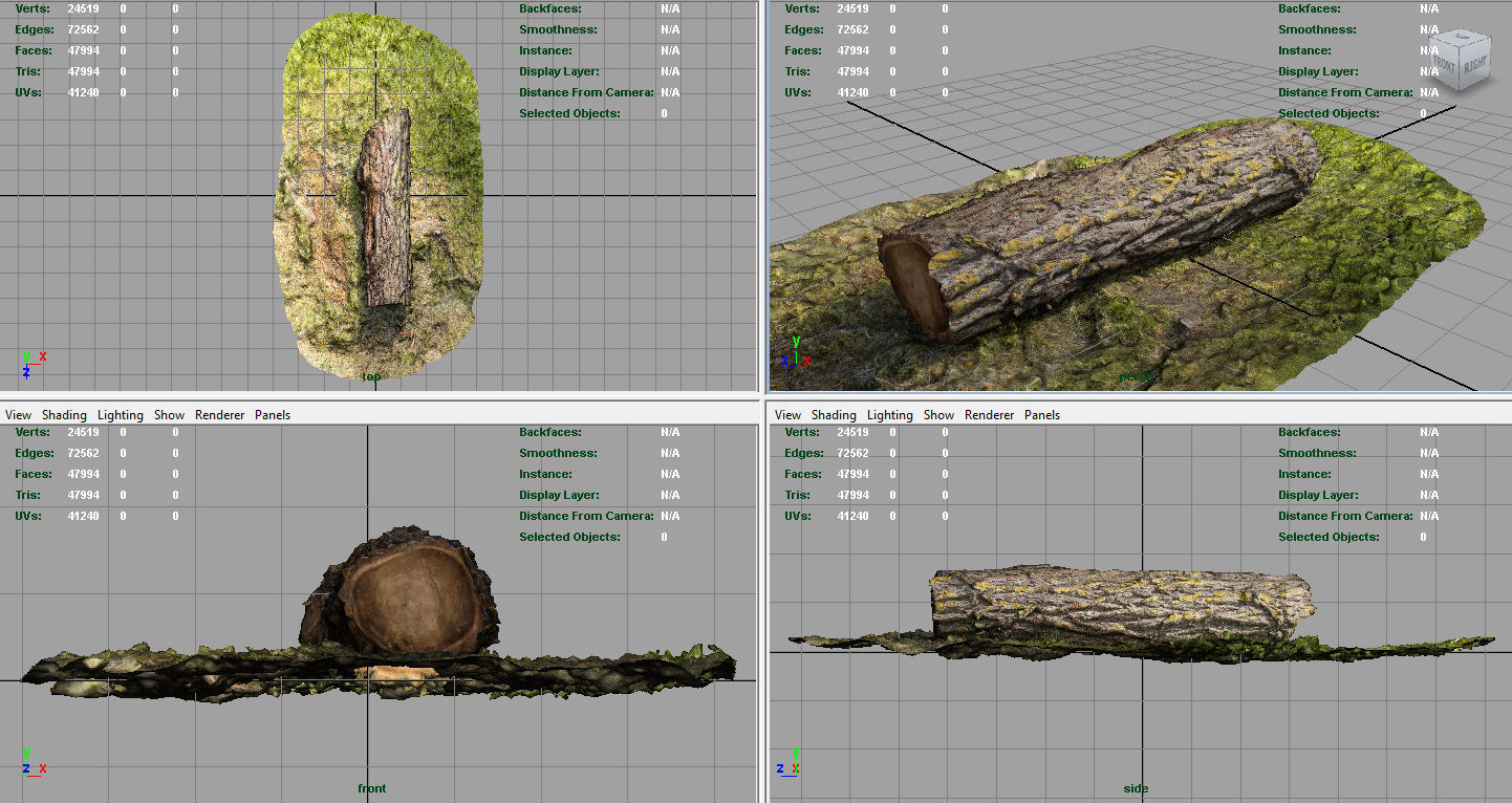 Dead trunk 6 Low-poly 3D model_6