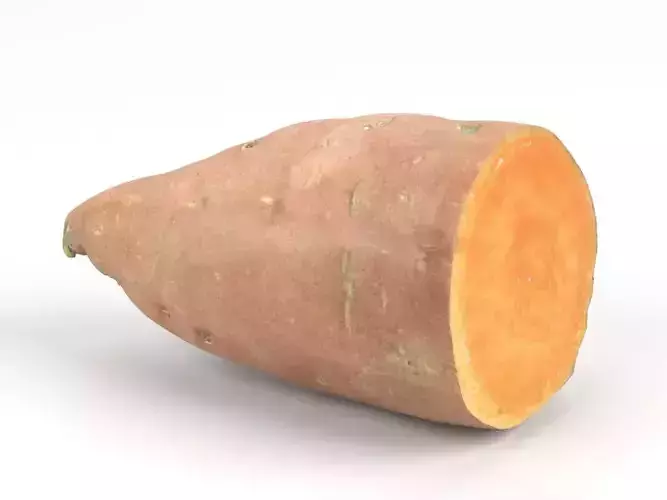 Photorealistic Sweet Potato Half 3D Scan 1
