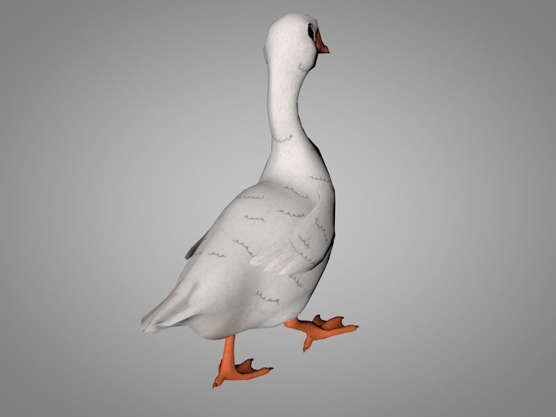 Goose Low-poly 3D model_5