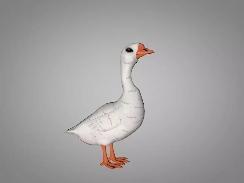 Goose Low-poly 3D model_0
