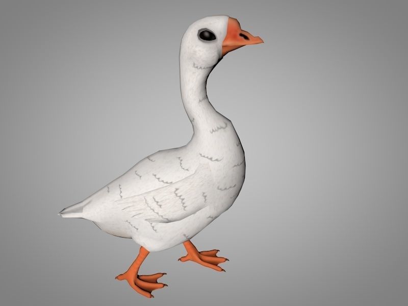 Goose Low-poly 3D model_2