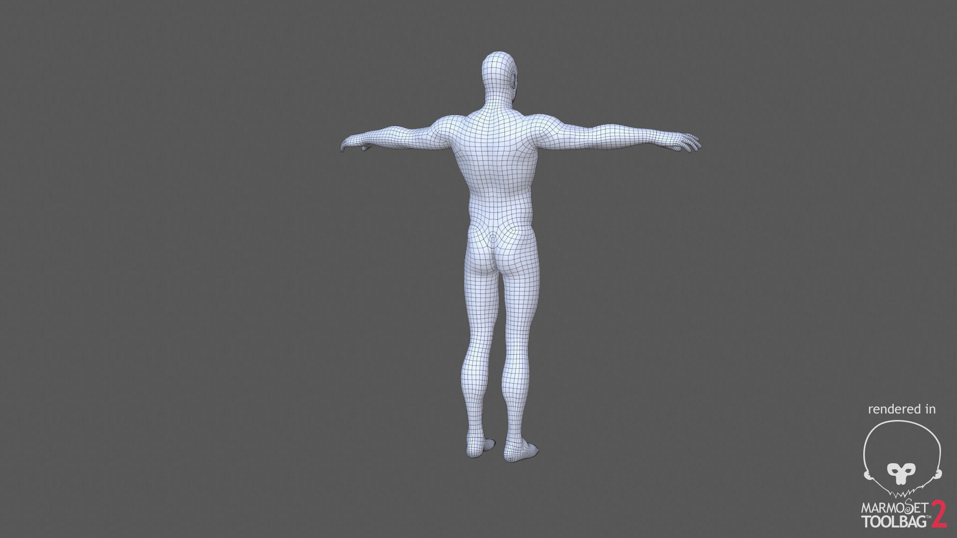 Kevin Realistic Anatomy Character Low-poly 3D model_6