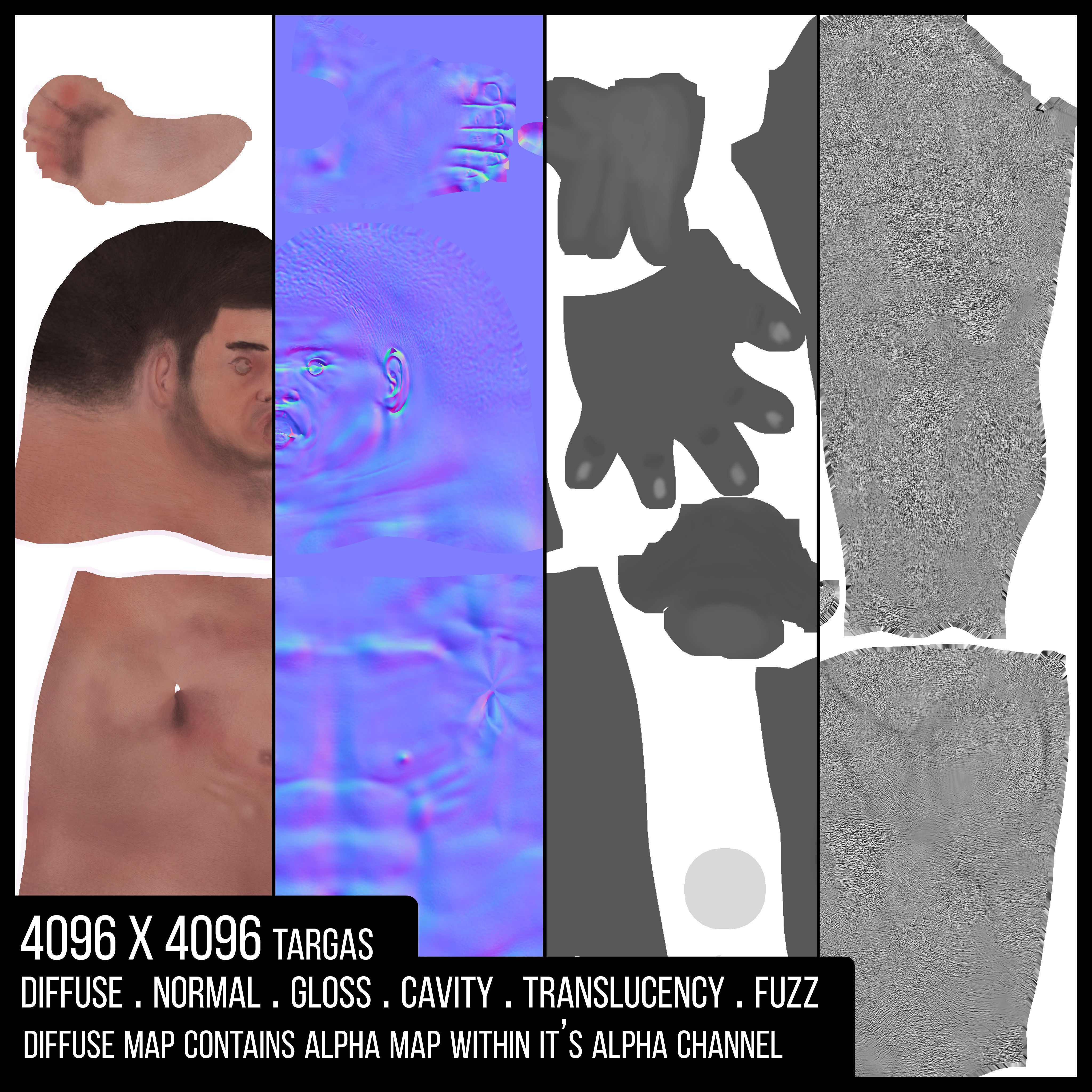 Kevin Realistic Anatomy Character Low-poly 3D model_8