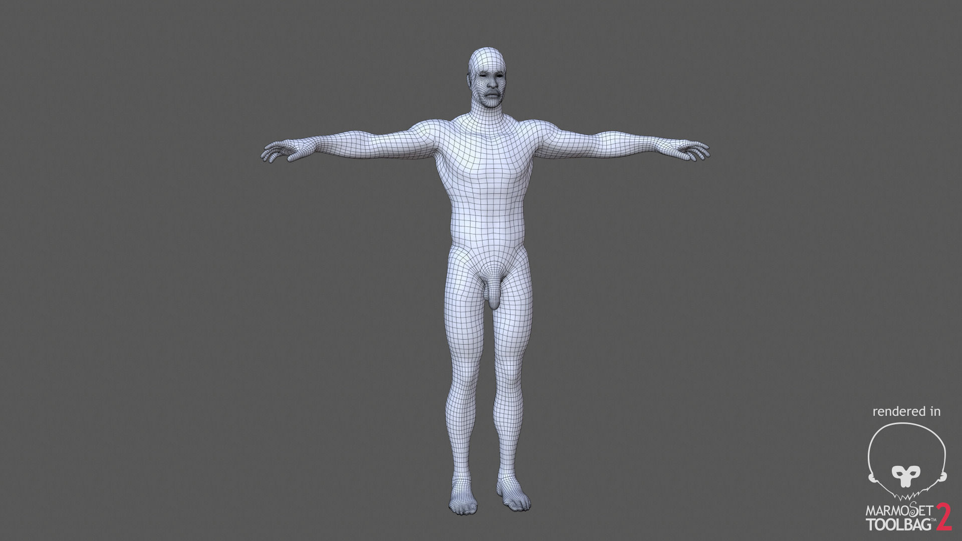 Kevin Realistic Anatomy Character Low-poly 3D model_5