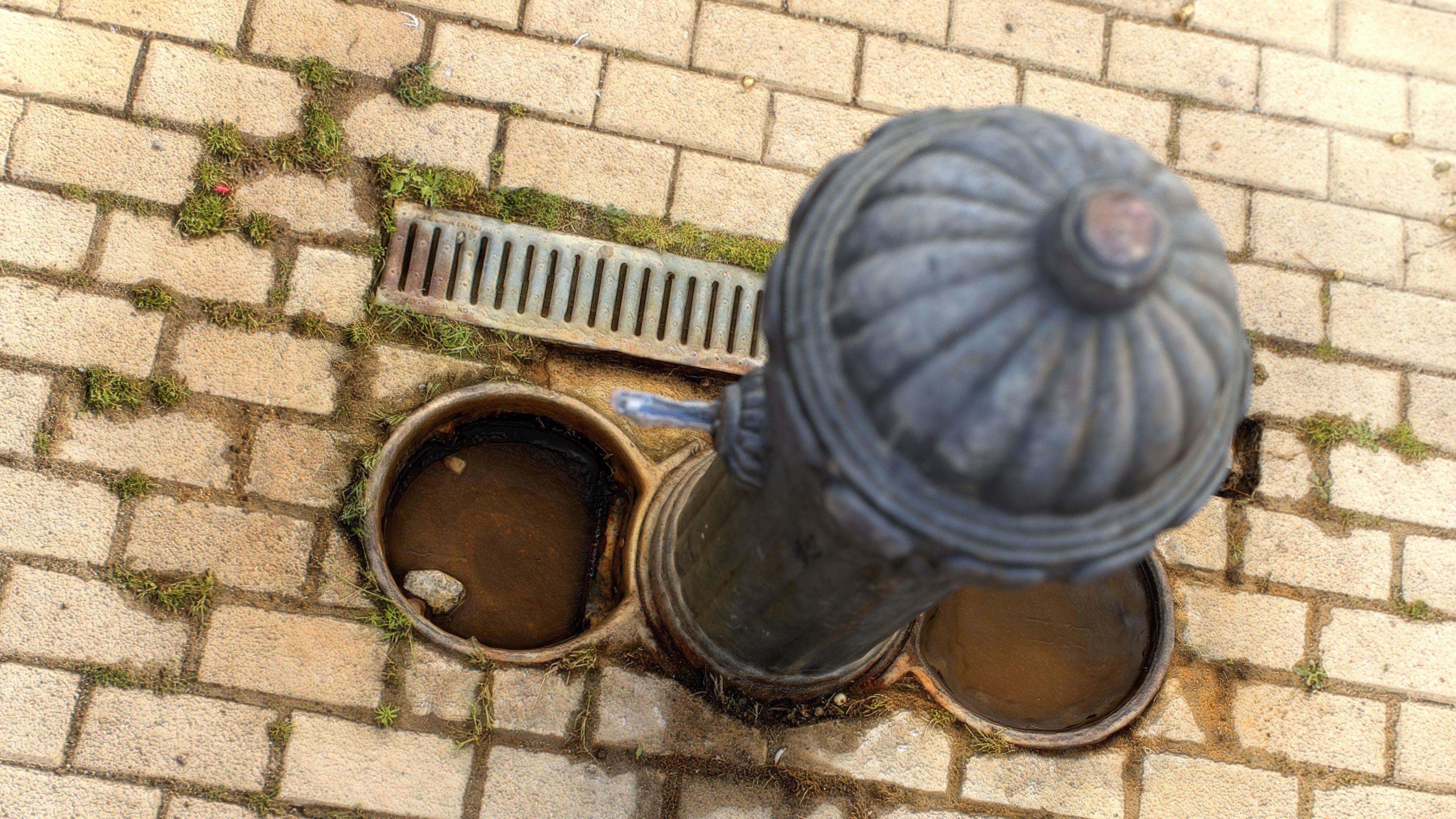 Fountain 7 fire hydrant on brick pavement Low-poly 3D model_7