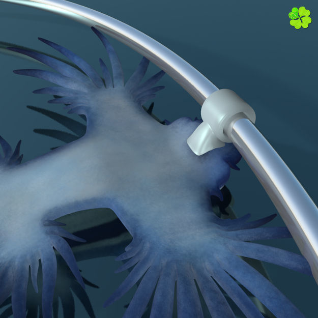 Glaucus atlanticus necklace low poly Low-poly 3D model_20