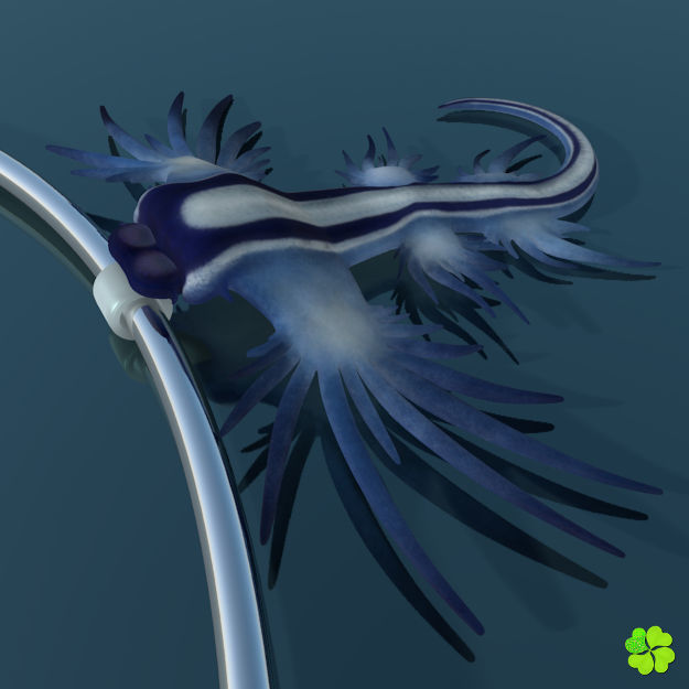 Glaucus atlanticus necklace low poly Low-poly 3D model_9