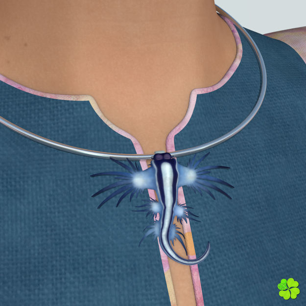 Glaucus atlanticus necklace low poly Low-poly 3D model_5