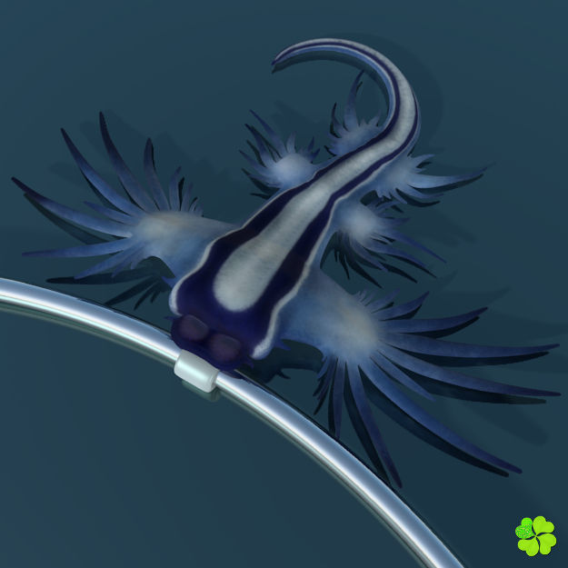 Glaucus atlanticus necklace low poly Low-poly 3D model_2