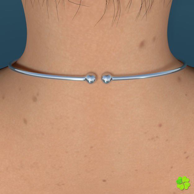 Glaucus atlanticus necklace low poly Low-poly 3D model_4