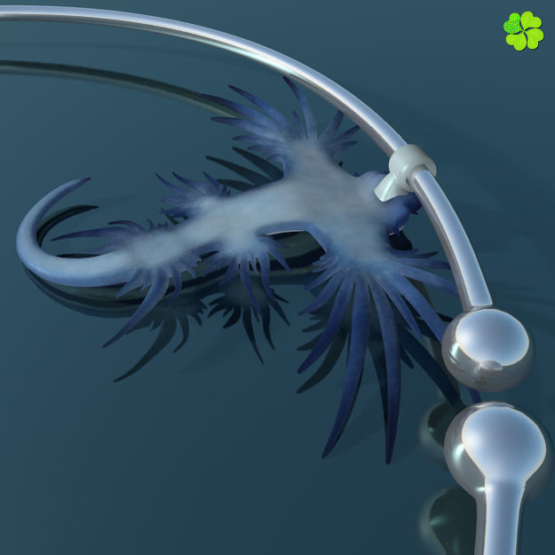 Glaucus atlanticus necklace low poly Low-poly 3D model_10