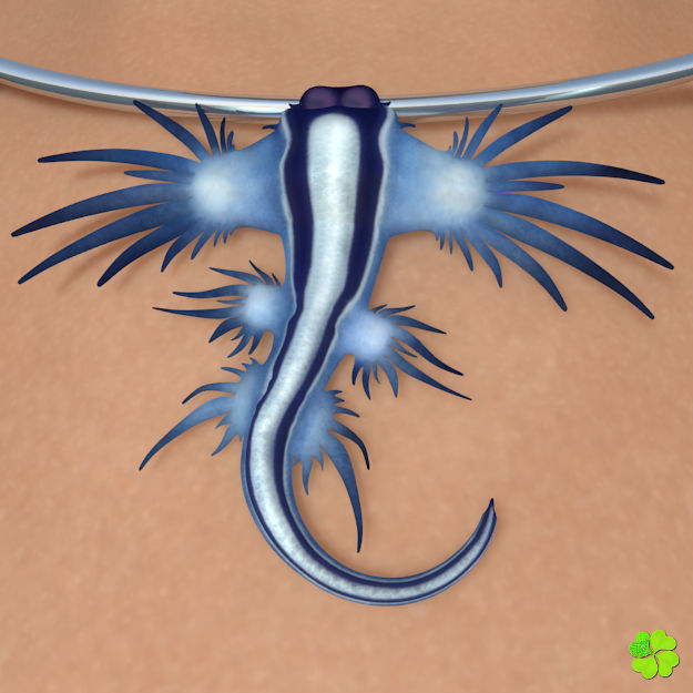 Glaucus atlanticus necklace low poly Low-poly 3D model_1