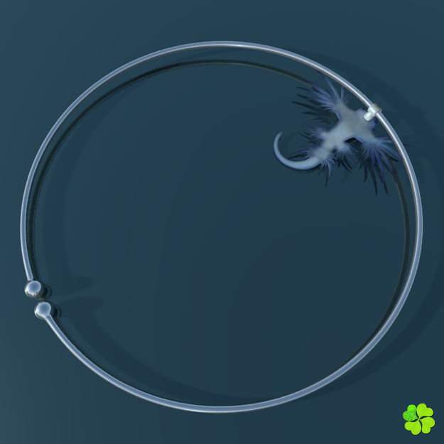 Glaucus atlanticus necklace low poly Low-poly 3D model_21