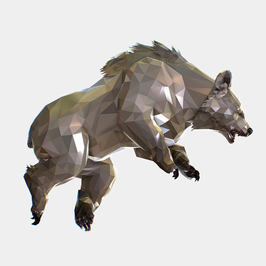 Animated Low Poly Art Arctic animal White Bear Low-poly 3D model_47