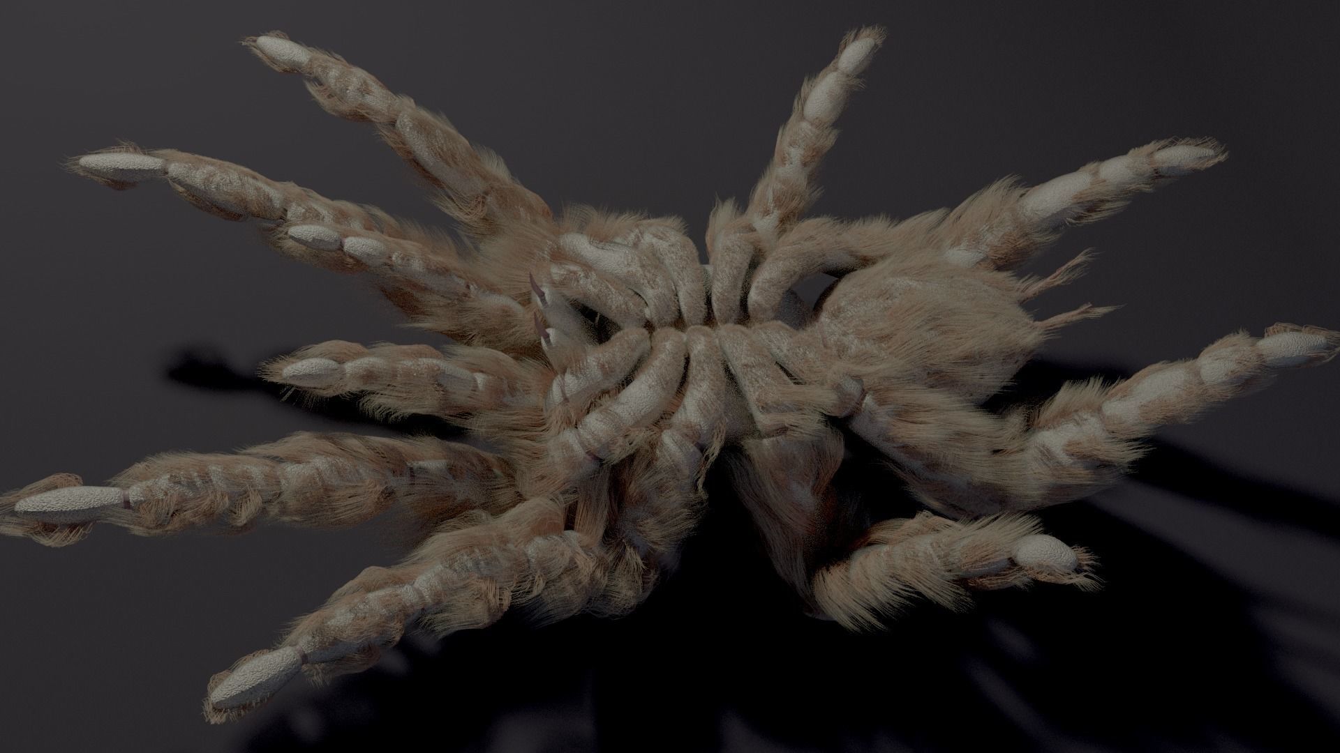 Evil white spider Low-poly 3D model_3