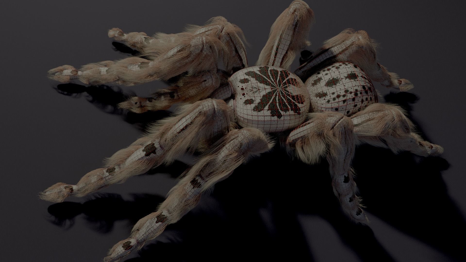 Evil white spider Low-poly 3D model_5