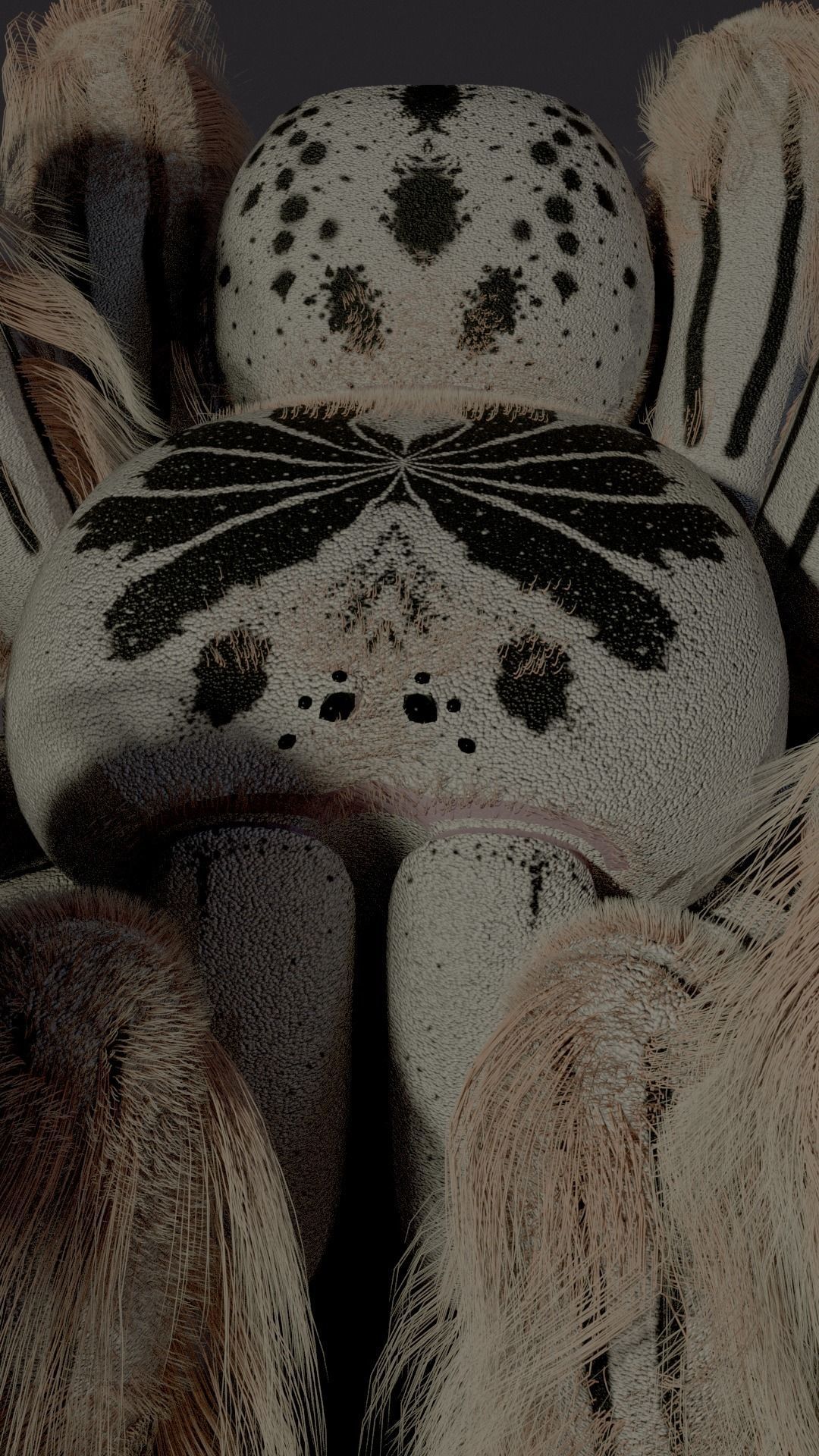 Evil white spider Low-poly 3D model_4