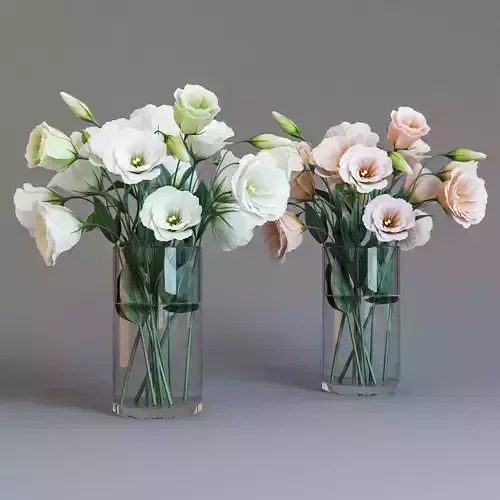 Eustoma flowers in glass vase
