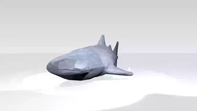 Whaleshark Low Poligonal